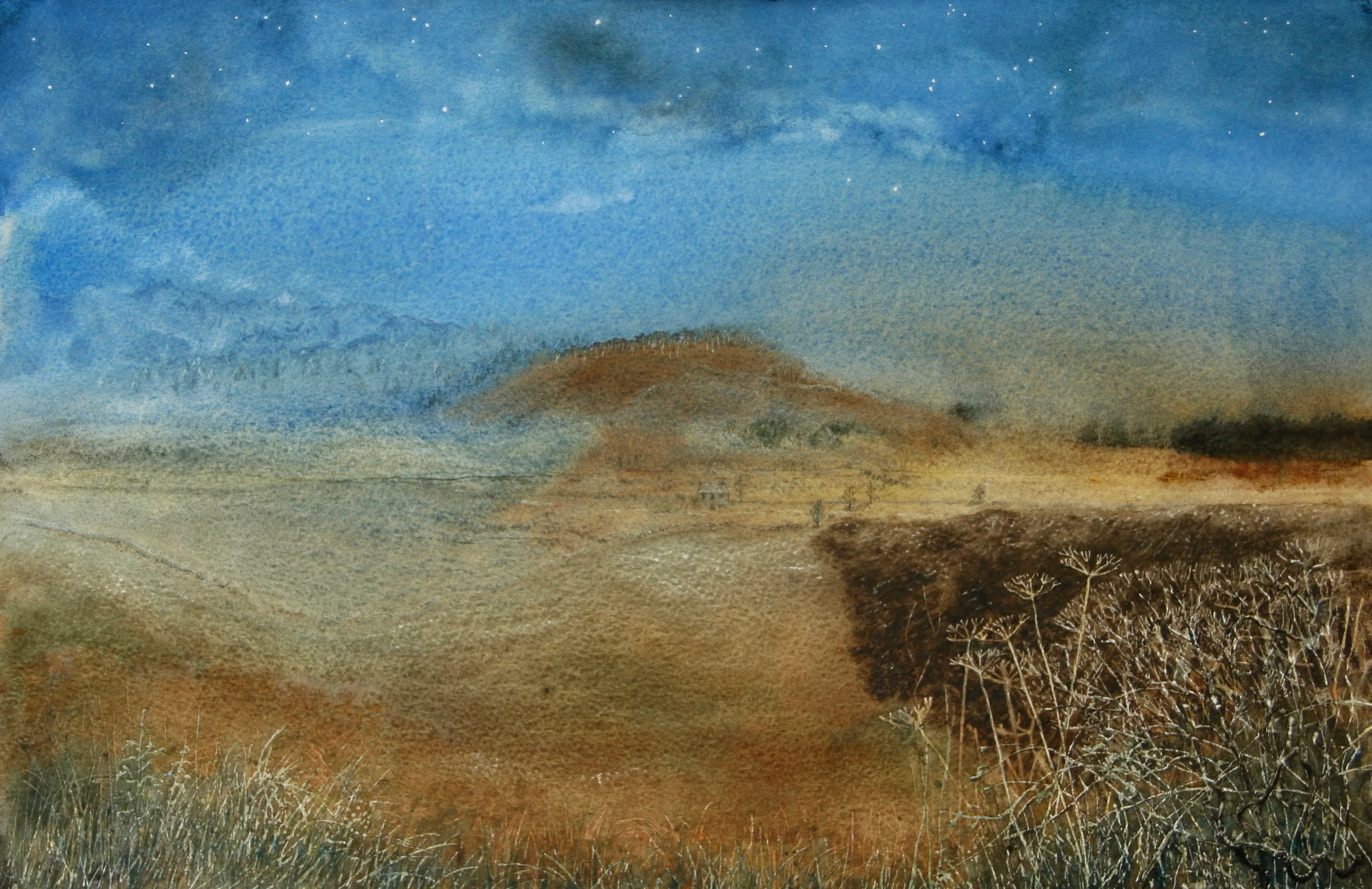 For "Imaginary Landscape, Bright Moonlit Night" I knew that I wanted a round tree topped hill in the middle, the detail at the front, and starlight, but just as much I wanted to see what I could do with really wet washes of cobalt and burnt sienna, because of the way they both granulate as they dry.