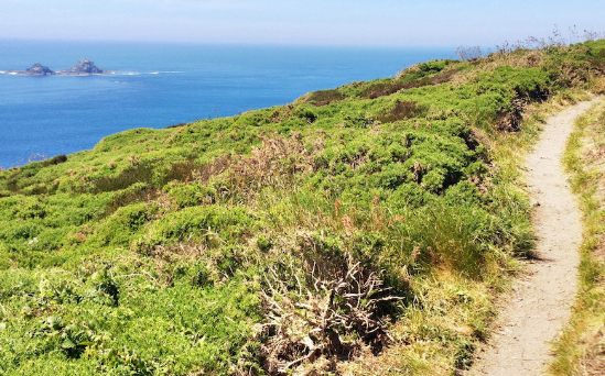 Cornish Clifftops