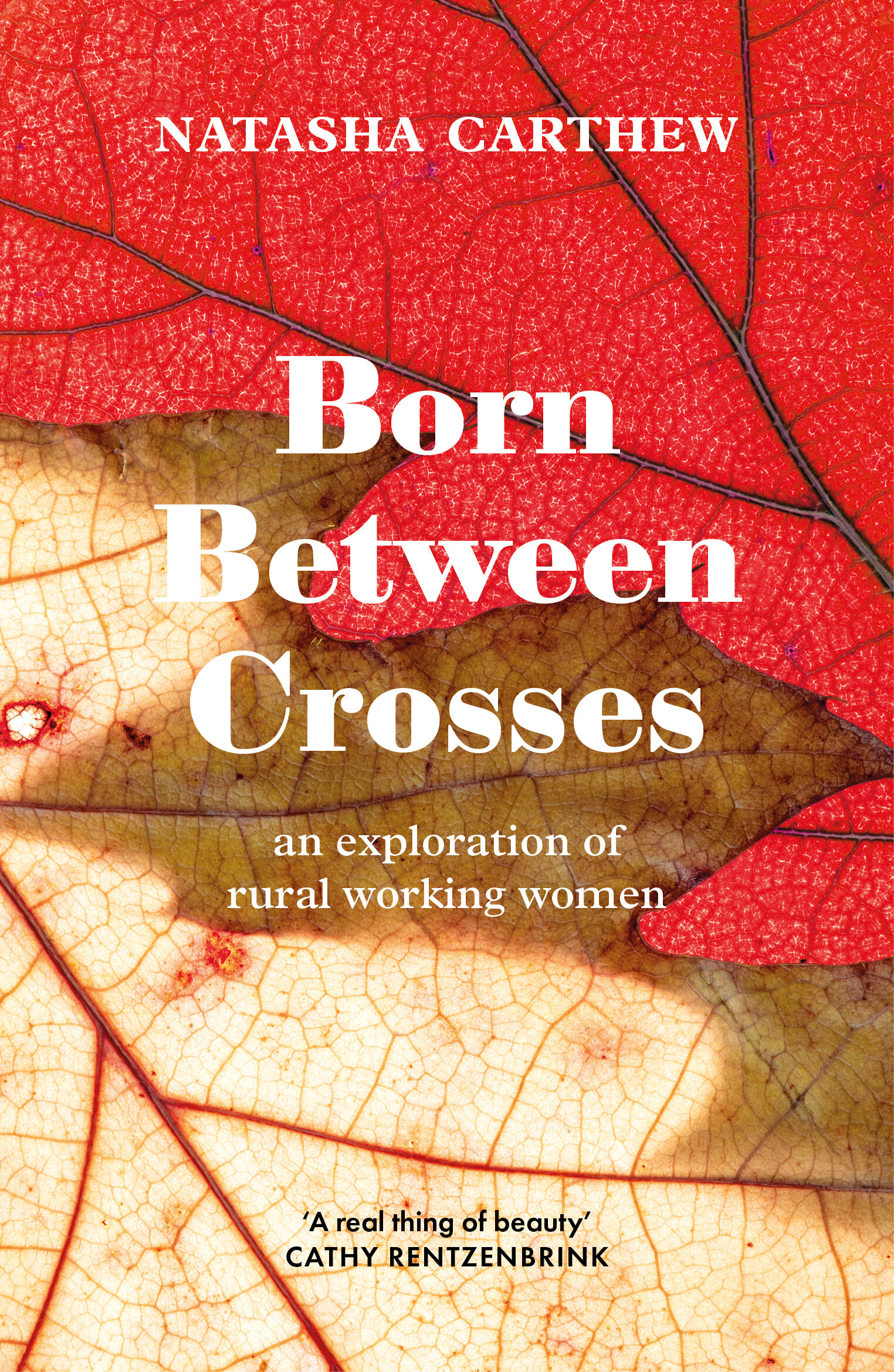 Born Between Crosses Book Cover