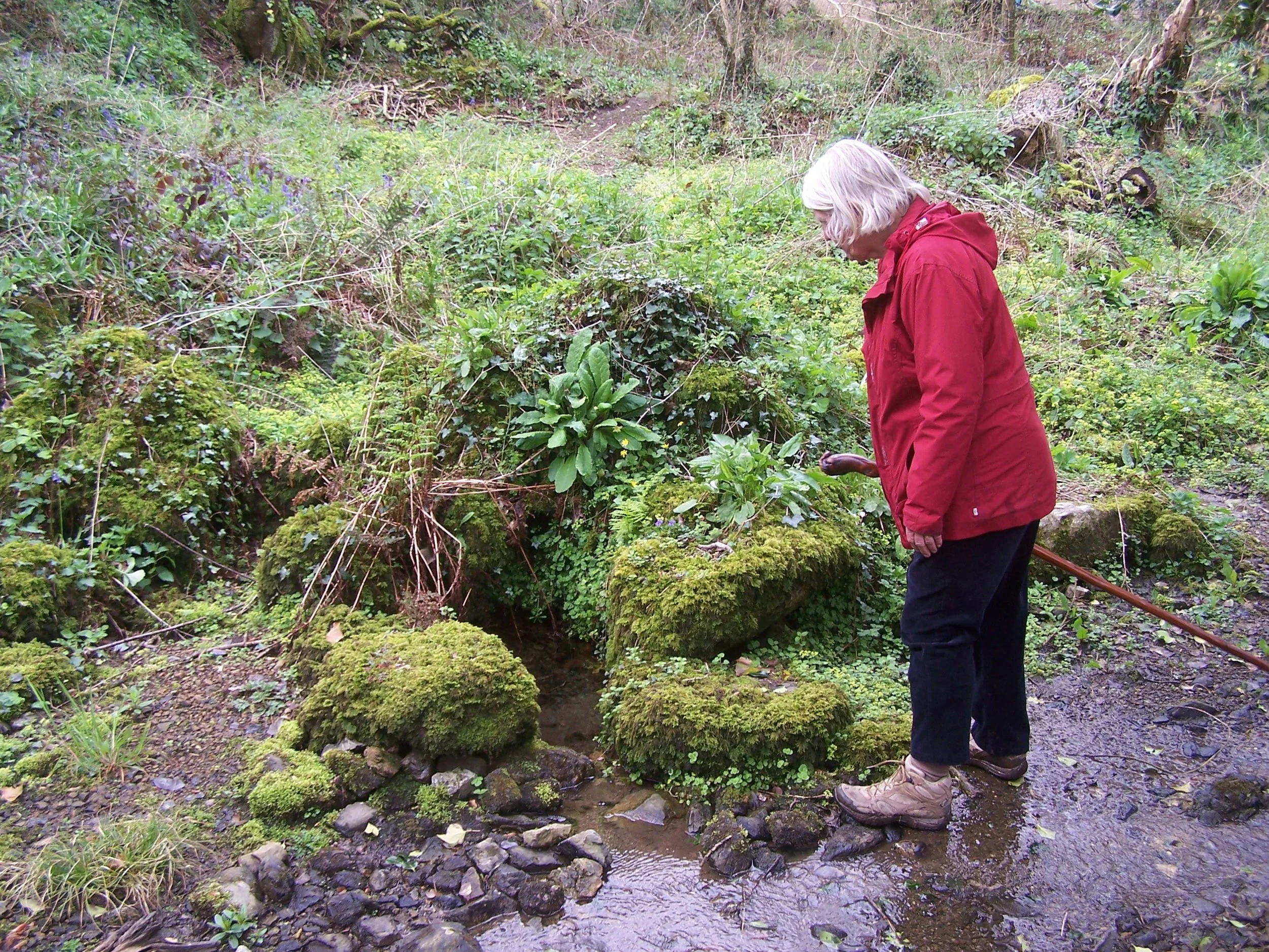 Caer Vallack Lizard.JPG