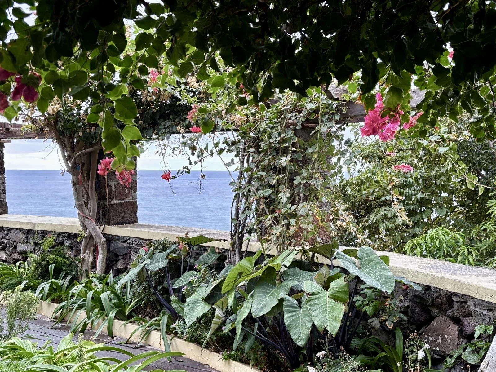 jardim 5.jpg