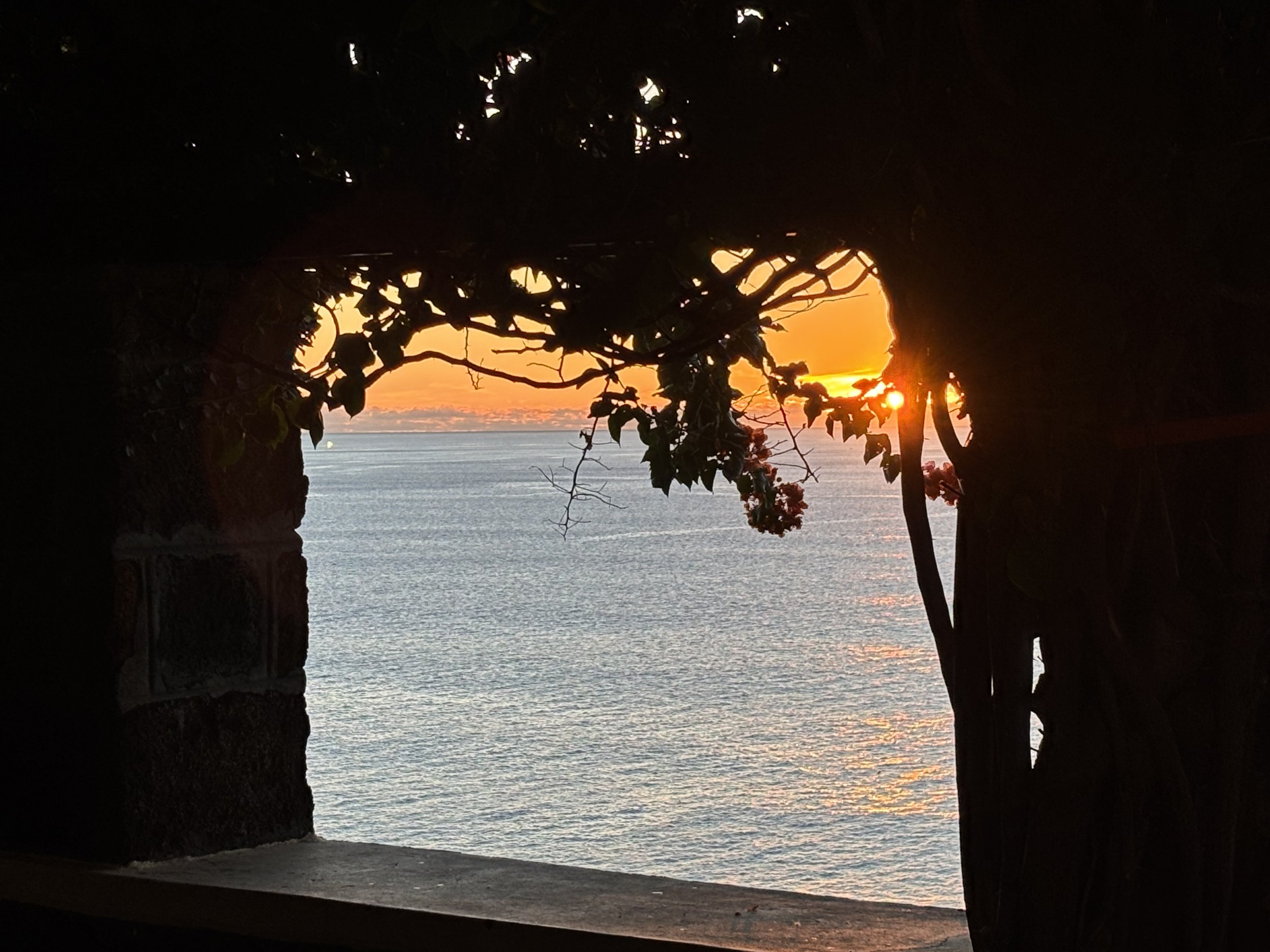 jardim por do sol 4.jpg