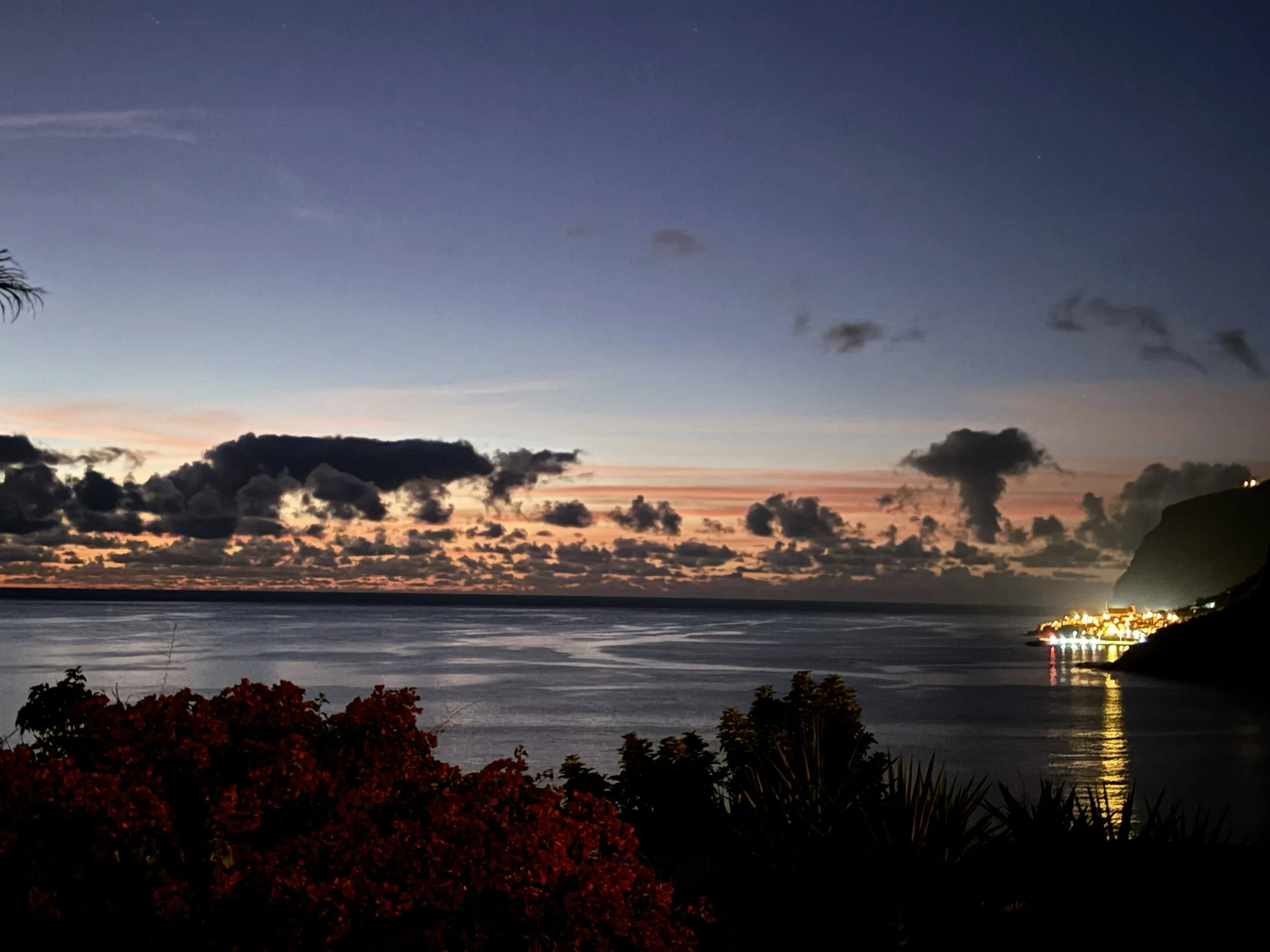 jardim por do sol.jpg
