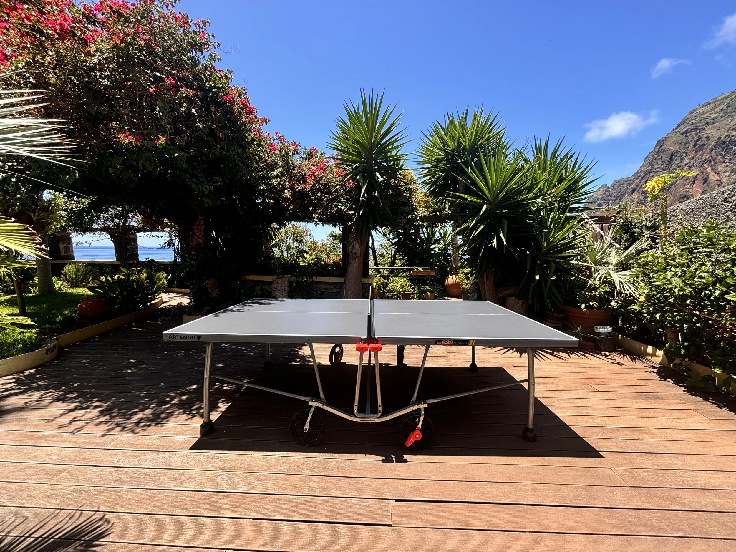 mesa ping pong 2.jpg