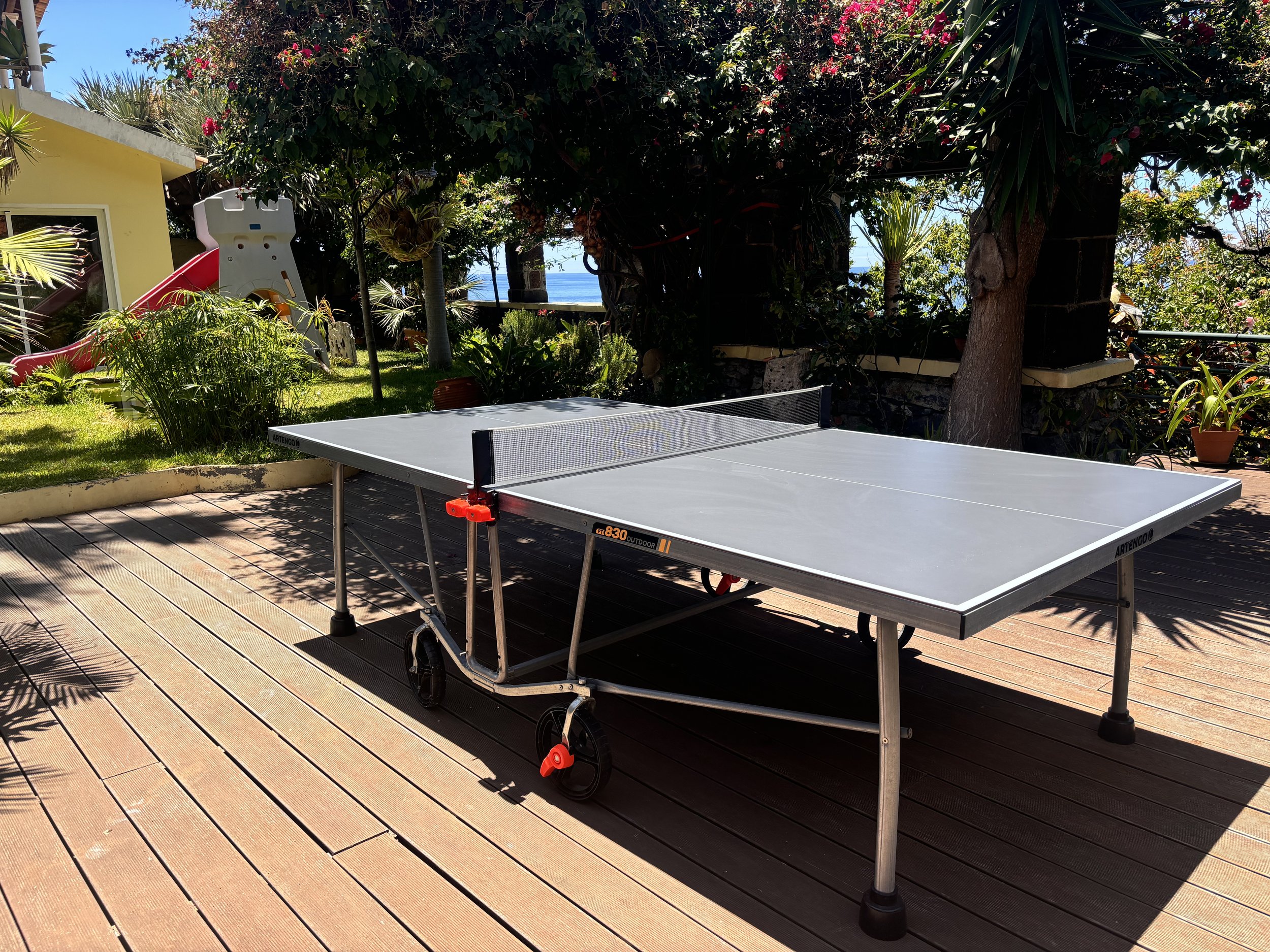 mesa ping pong.jpg
