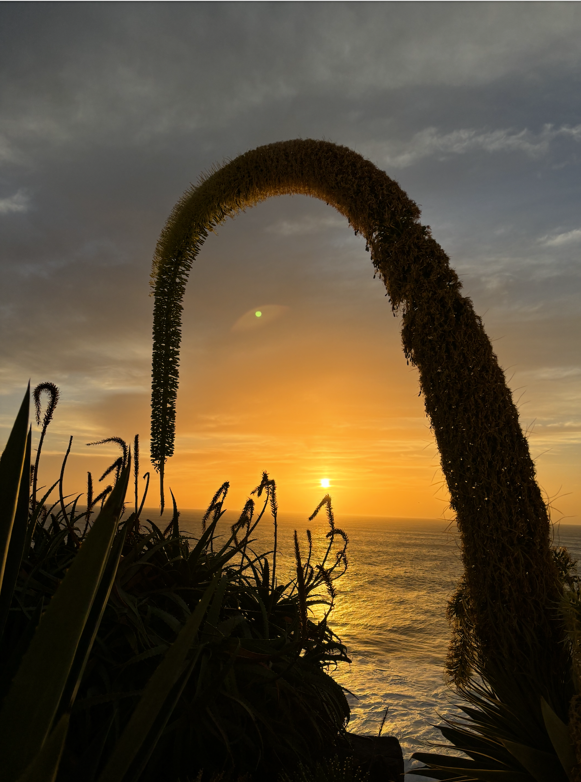 por do sol.png