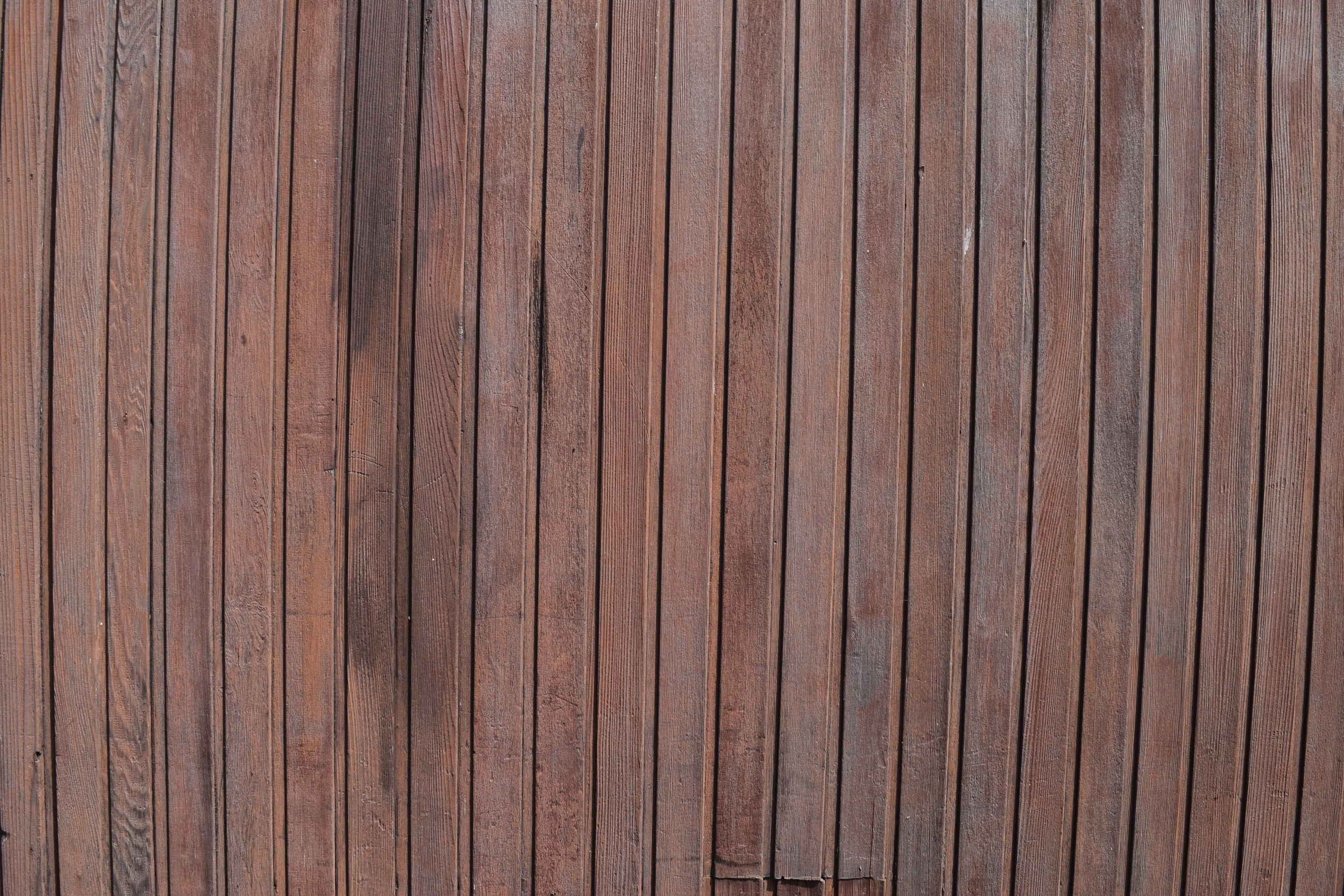 DSC_0065.jpg