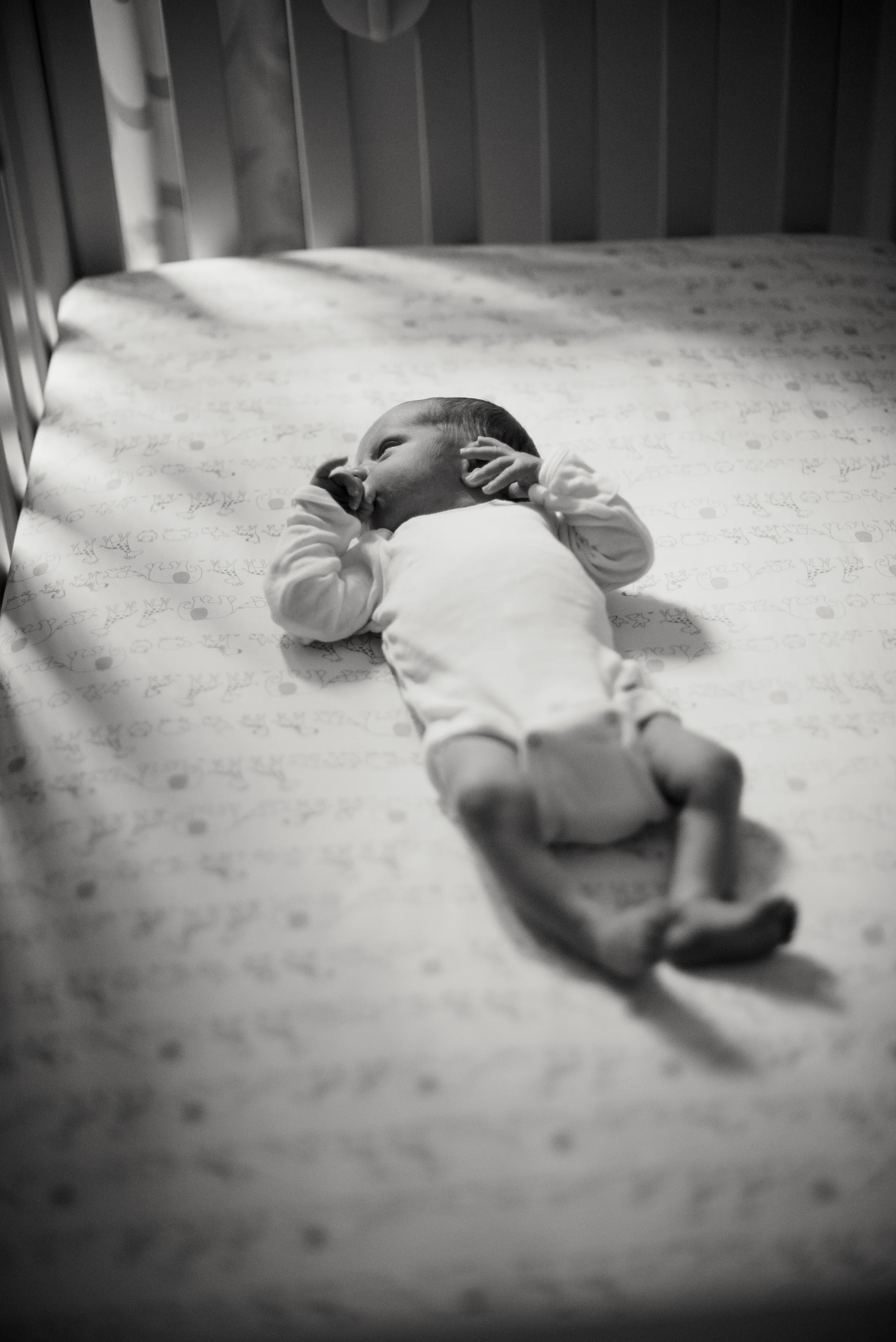 BabyNoah-14.jpg
