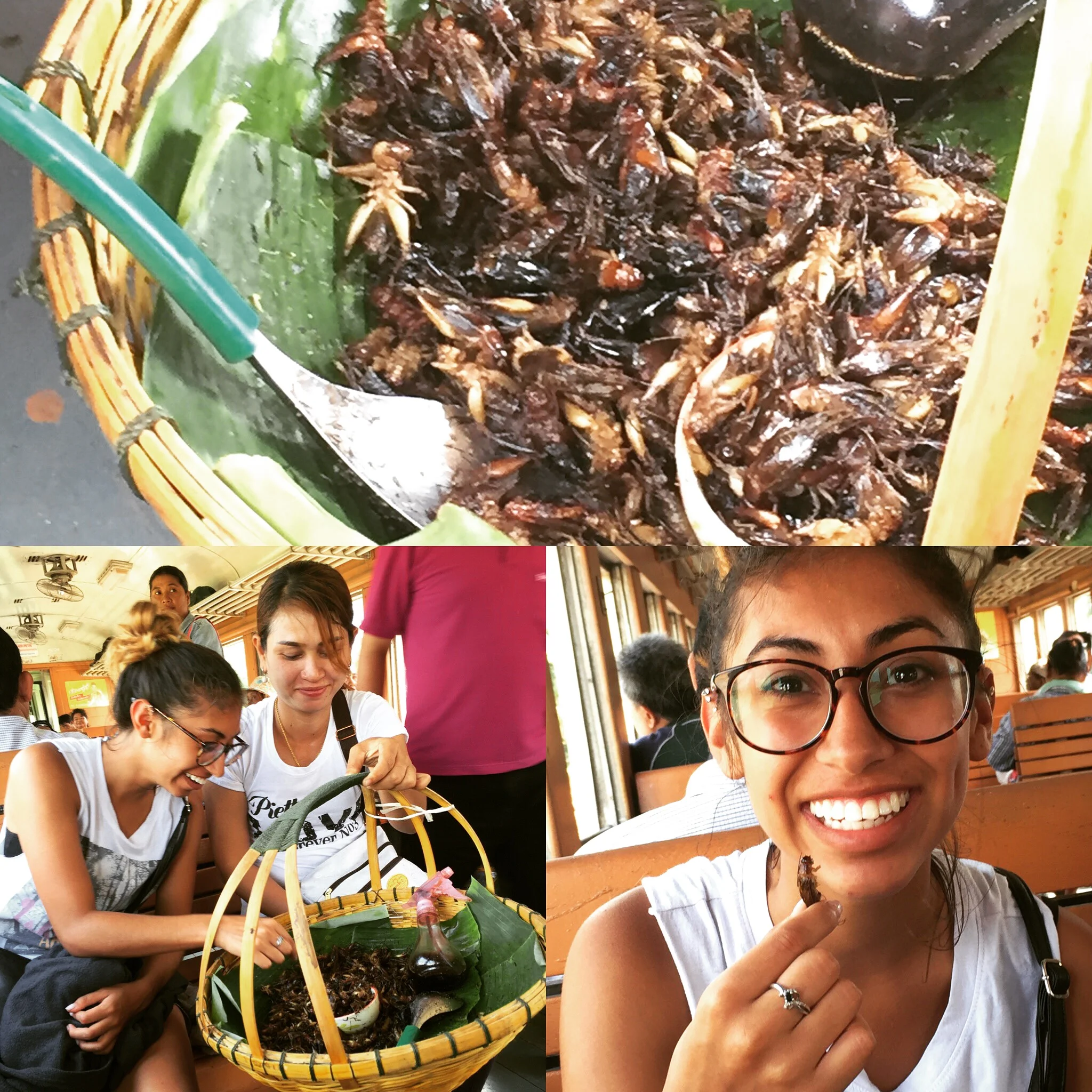 Crickets taste like BBQ chips. Who knew?