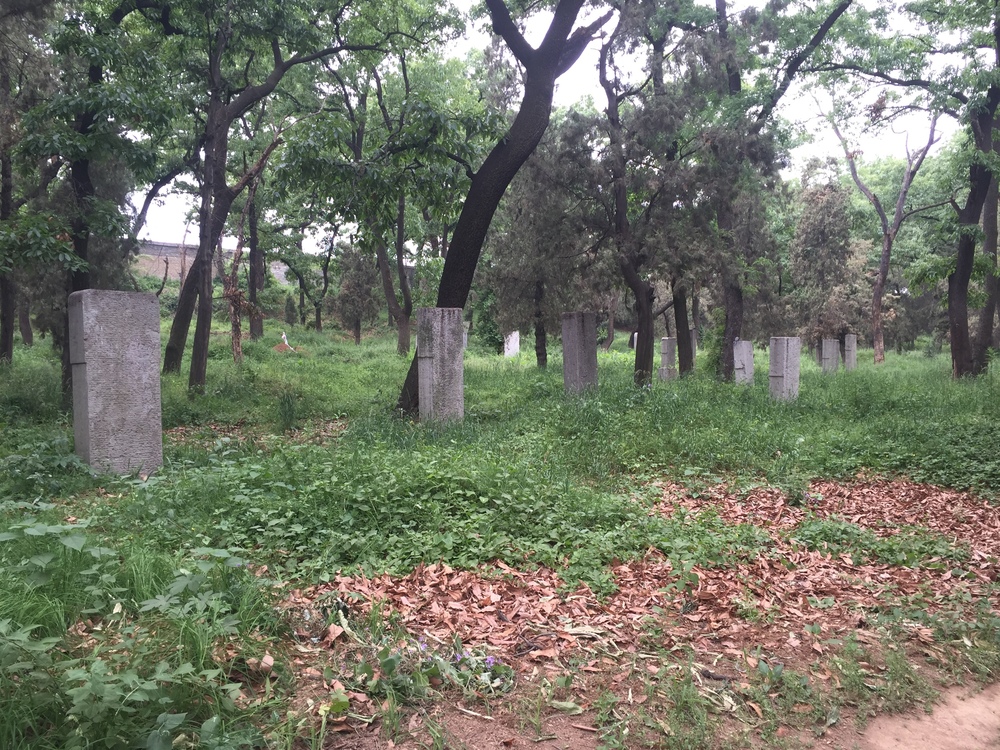 Huge cemetery.