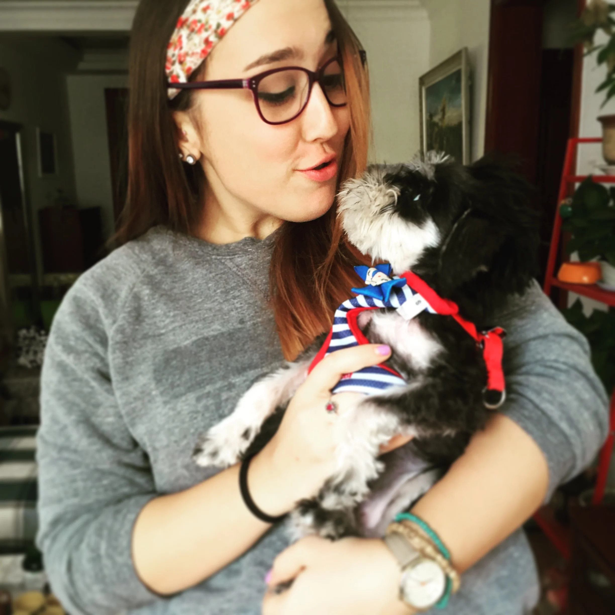 This mini Schnauzer puppy with a mohawk named Luca. Yes, of course he's a people.