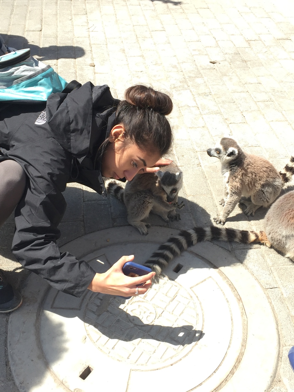 Lemur selfie.