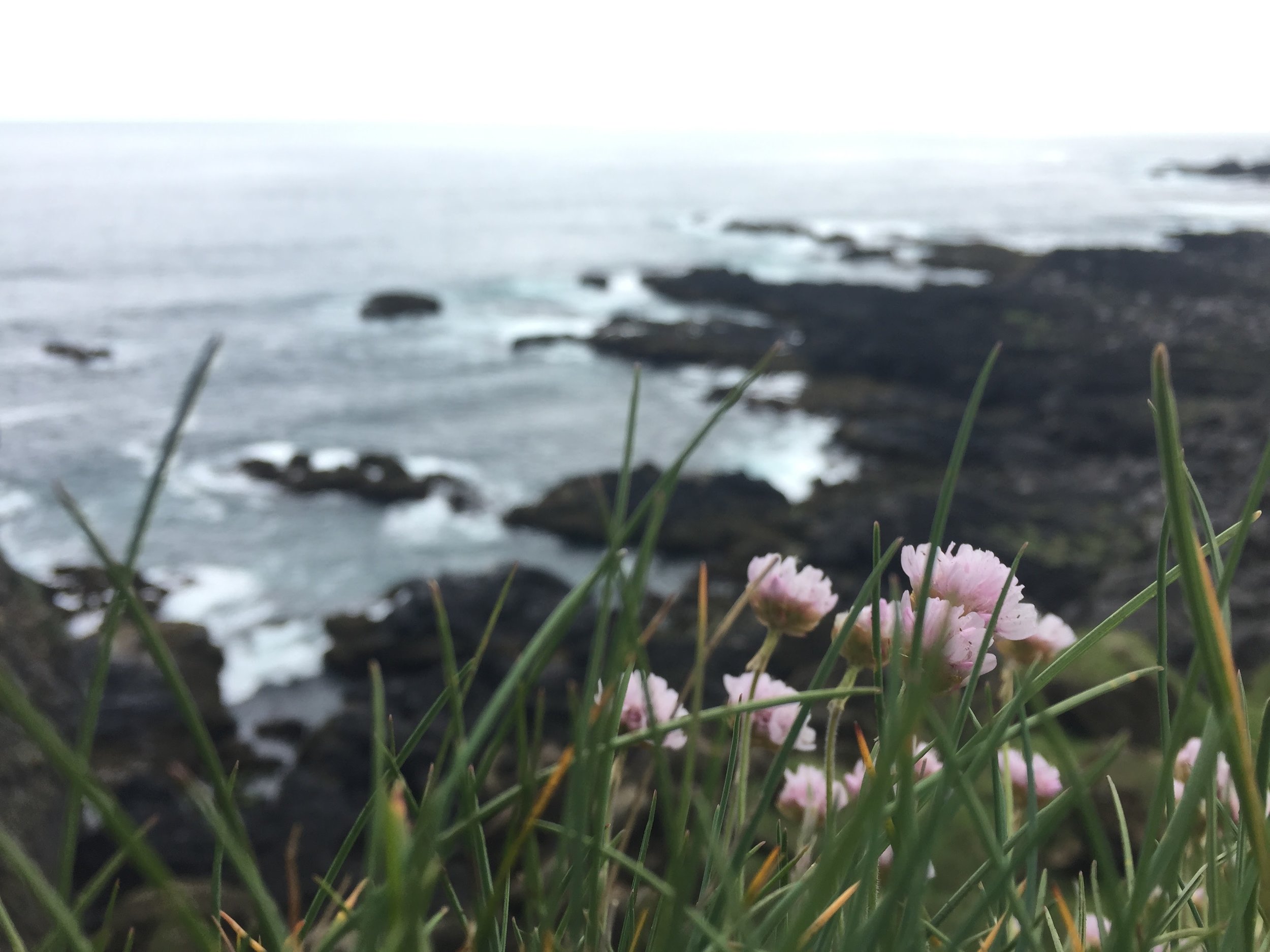 Lóndrangar basalt cliffs