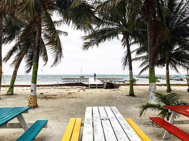 &ldquo;A good traveler has no fixed plans and is not intent on arriving.&rdquo; &ndash; Lao Tzu ⁣
⁣
The motto for Caye Caulker is Go Slow. We are traveling slowly, with few plans. It&rsquo;s been a perfect match. ⁣
____________________________⁣
#beli