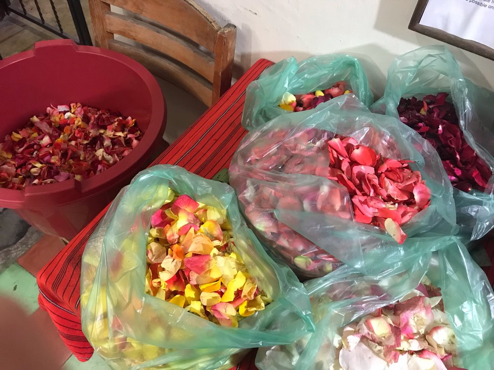 Sorting rose petals by color