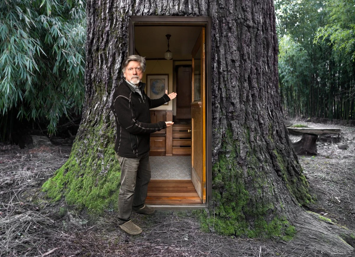 Tree house-03174-Edit Final A (1)-32.JPG