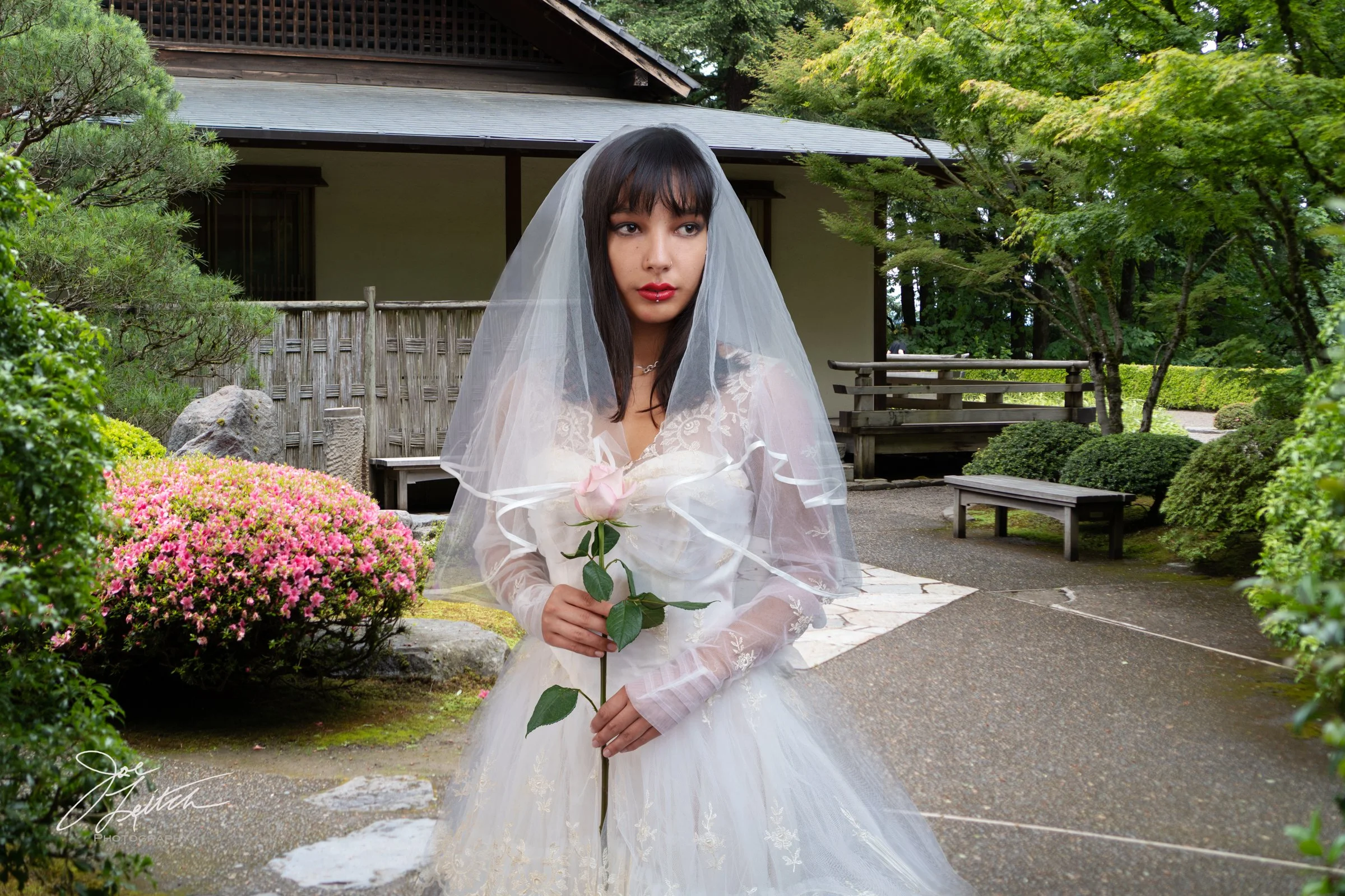 Japanese Garden-6605837-Edit-31.JPG