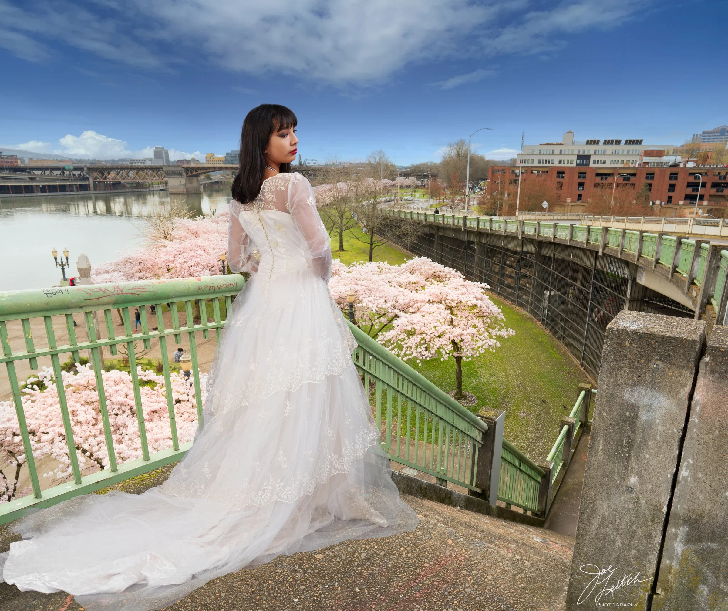 Cherry Bloosoms-00001-Edit-31.JPG