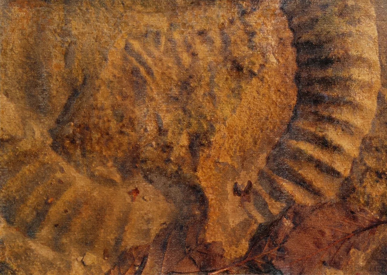 20150524_121046_3.jpg