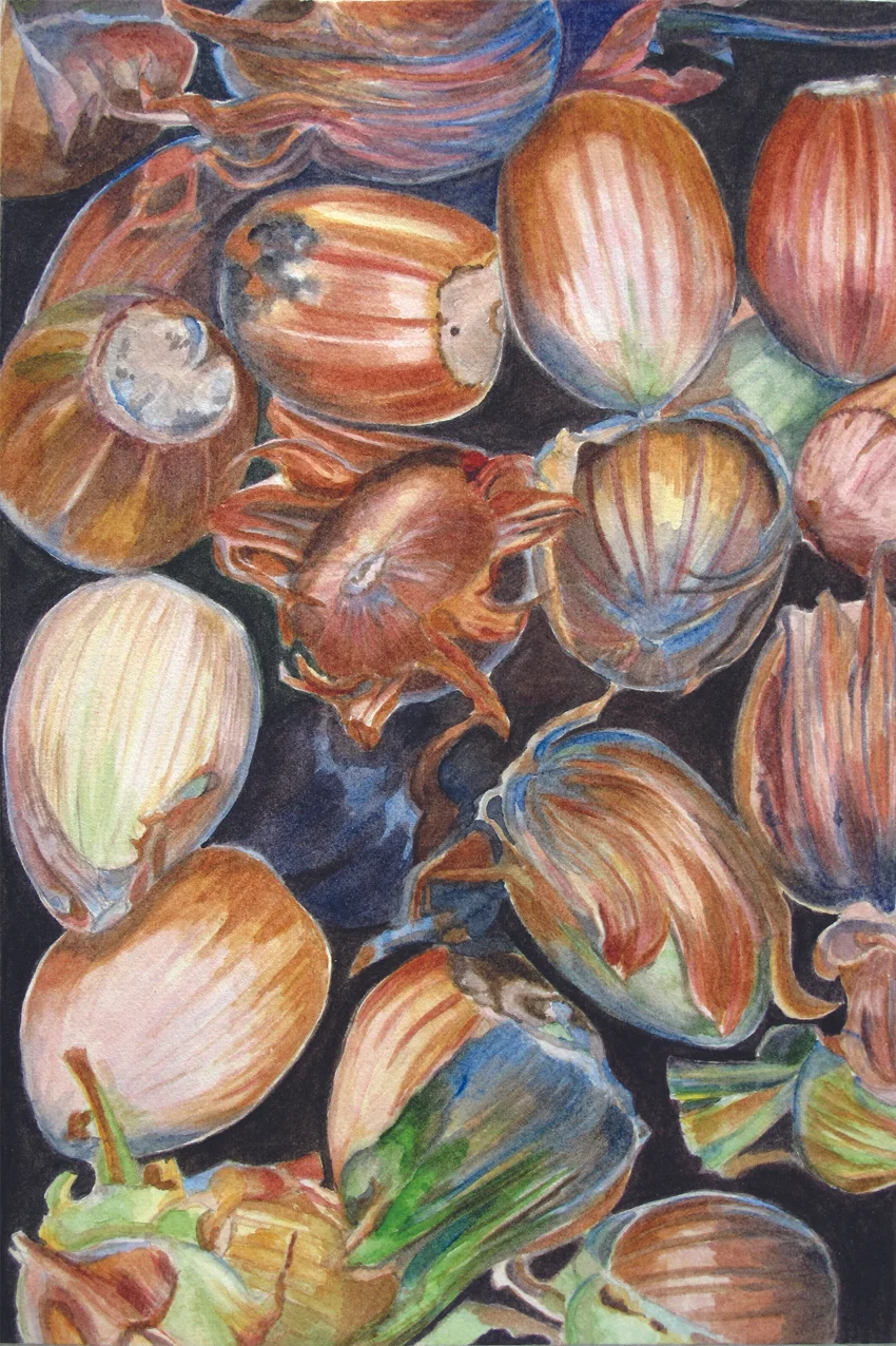 Hazelnuts 12 x 18.jpg