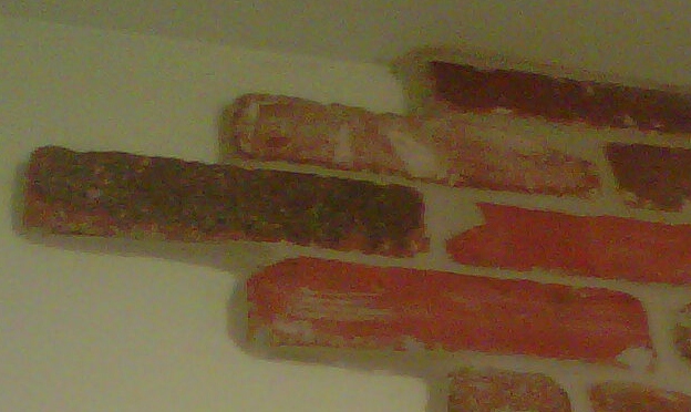 IMG01586-20120207-1641.jpg
