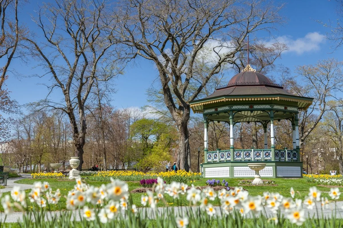 Spring Garden Area Business Association Annual General Meeting