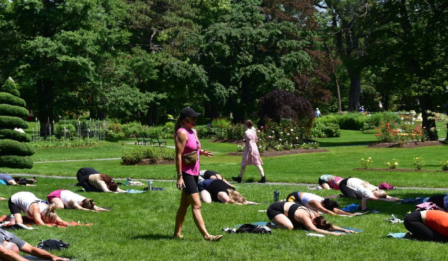 Yoga in the Park