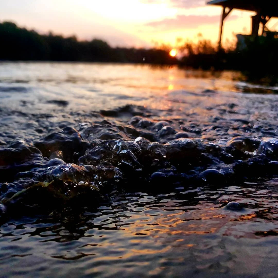 Lake. .
.
.
.
.
.
.
.
.
.
.
.
.
#photography #water #lake #lakeanna #iso #fstoppers #digitalart
