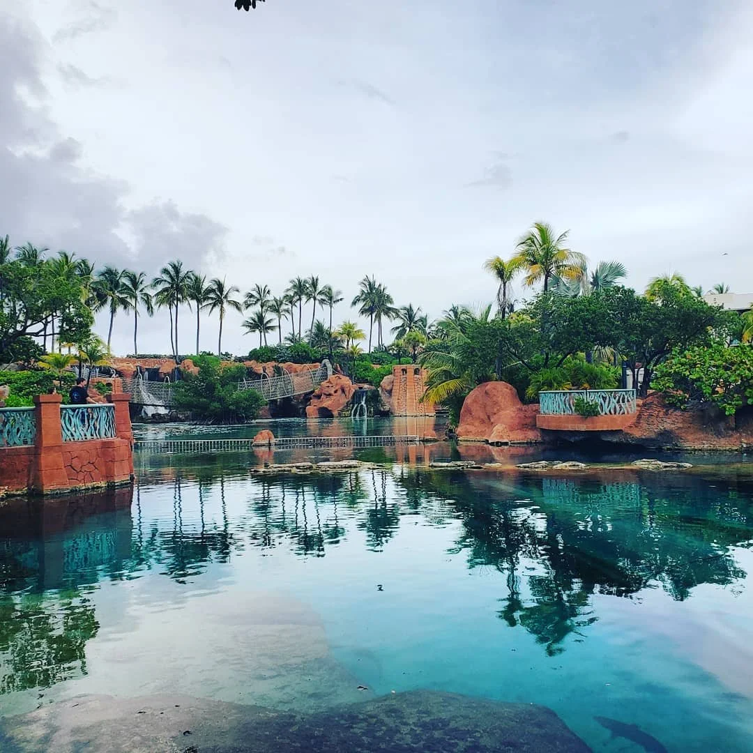 Beach vibes. #bahamas