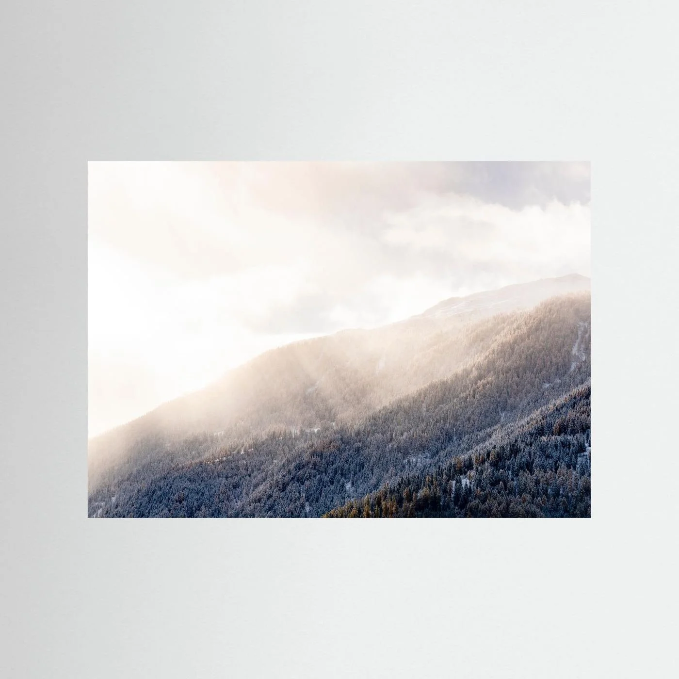 mockup-storefront.jpg