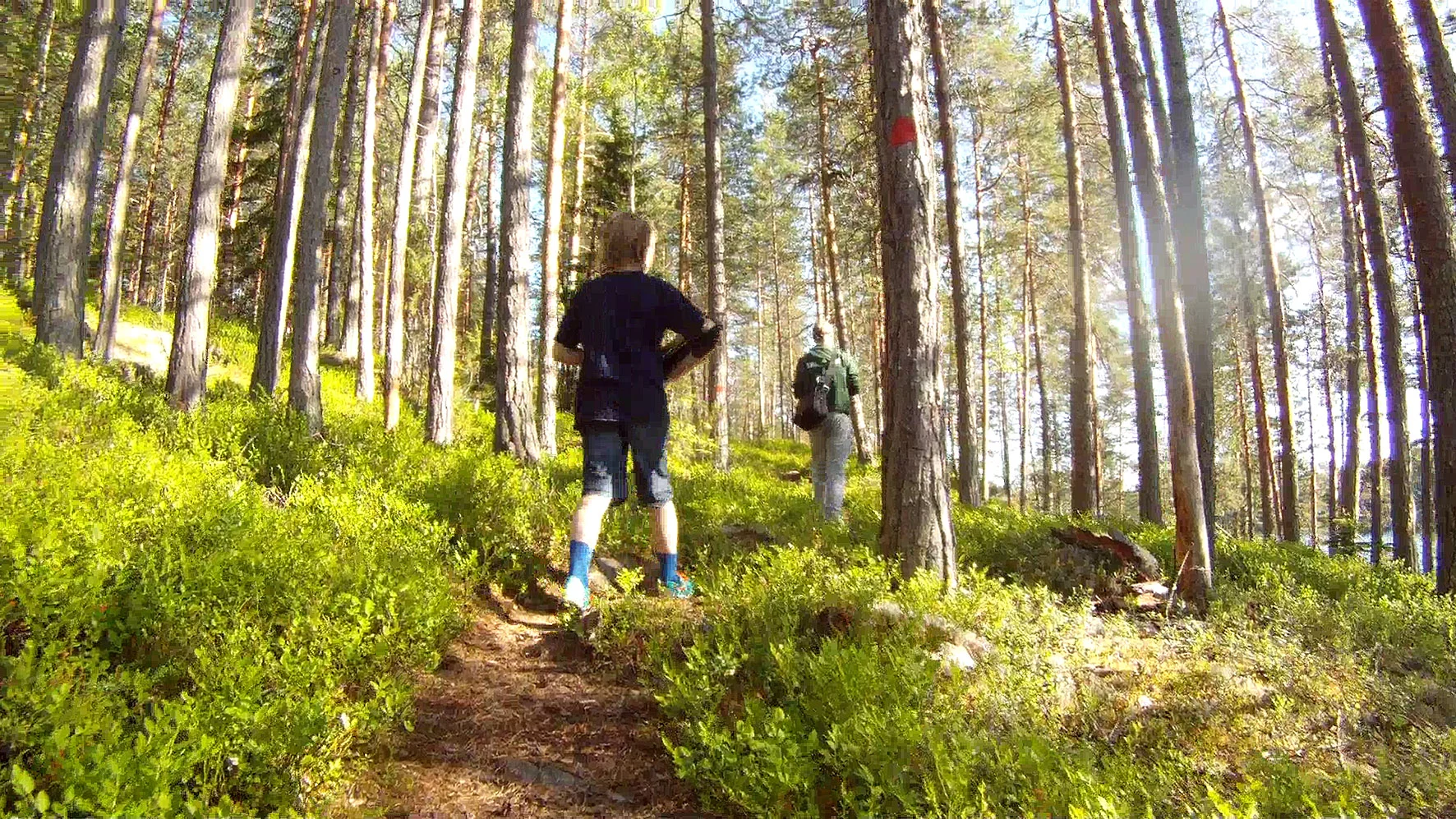 Orrainpolku trail