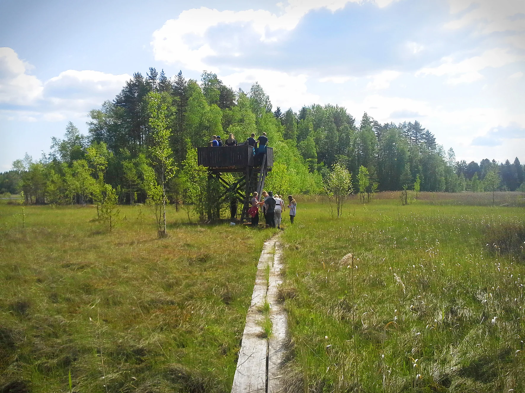 Bird-watching tower along the Säänjärvi hiking trail