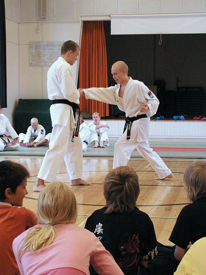 Shukokai-karate-korjattu-web.jpg