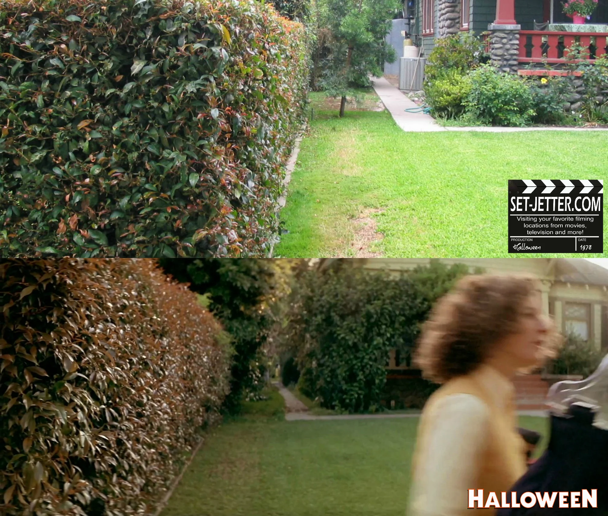 Halloween comparison 93.jpg