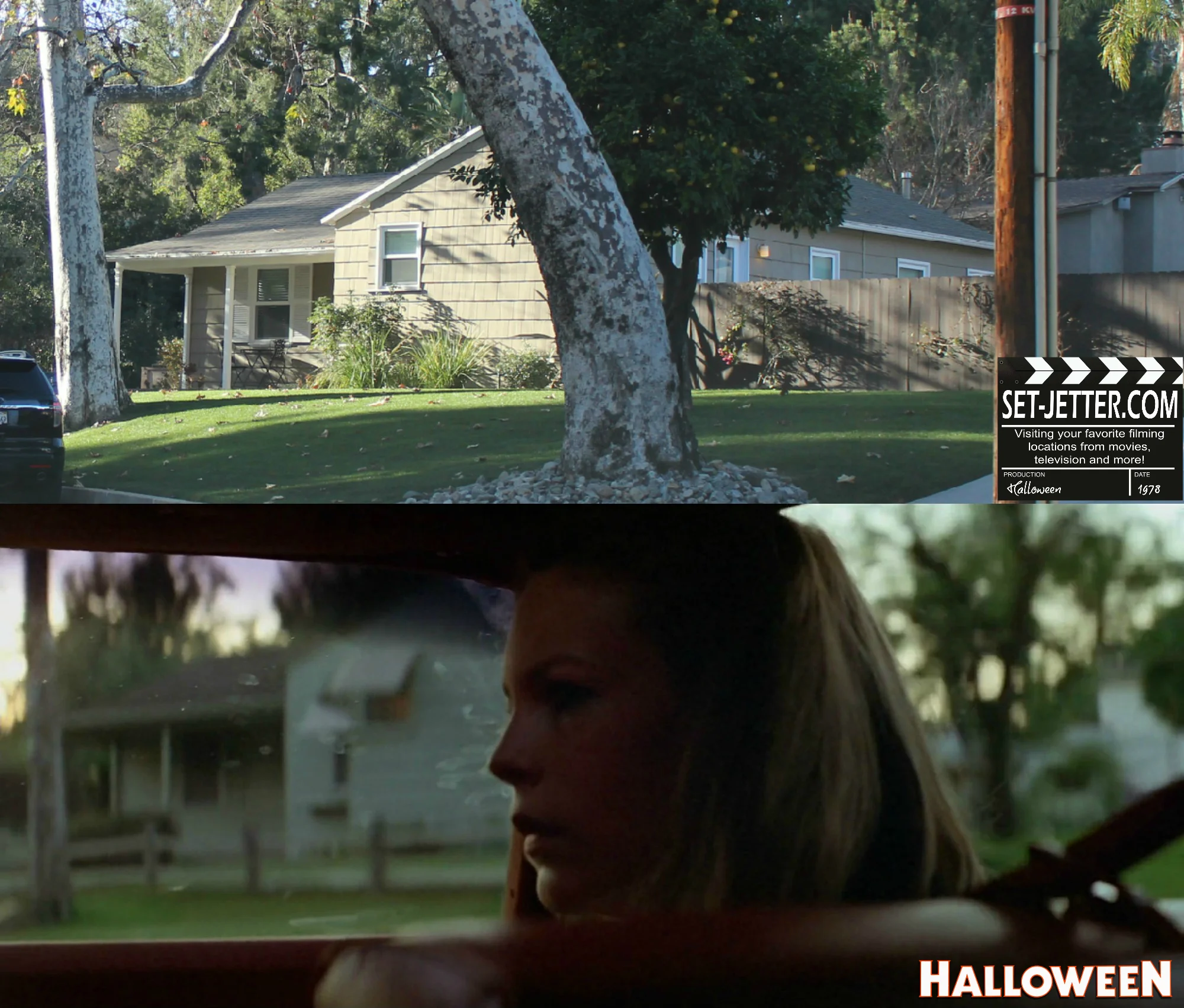 Halloween comparison 123.jpg