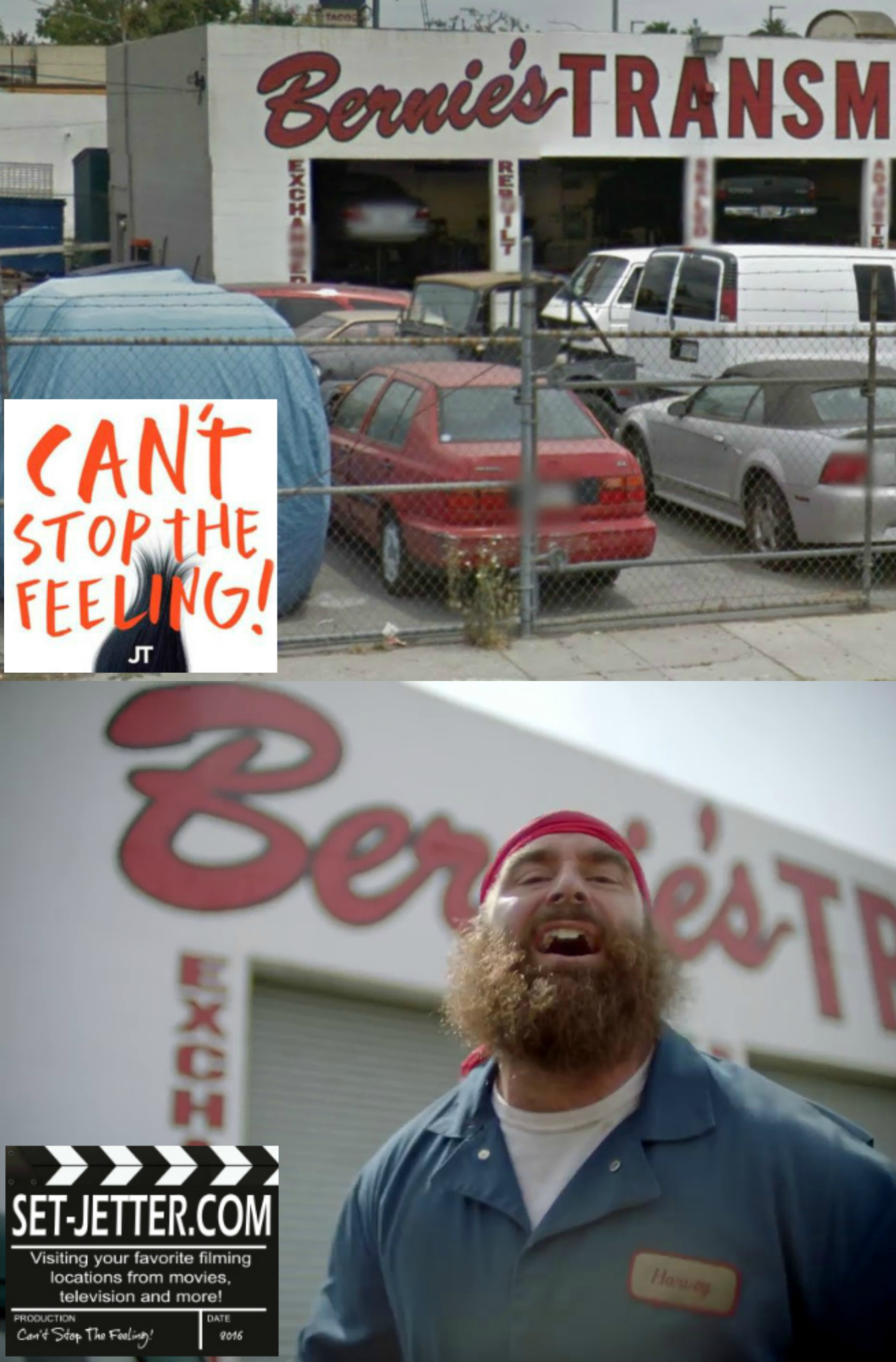 Cant stop bernies 2.jpg