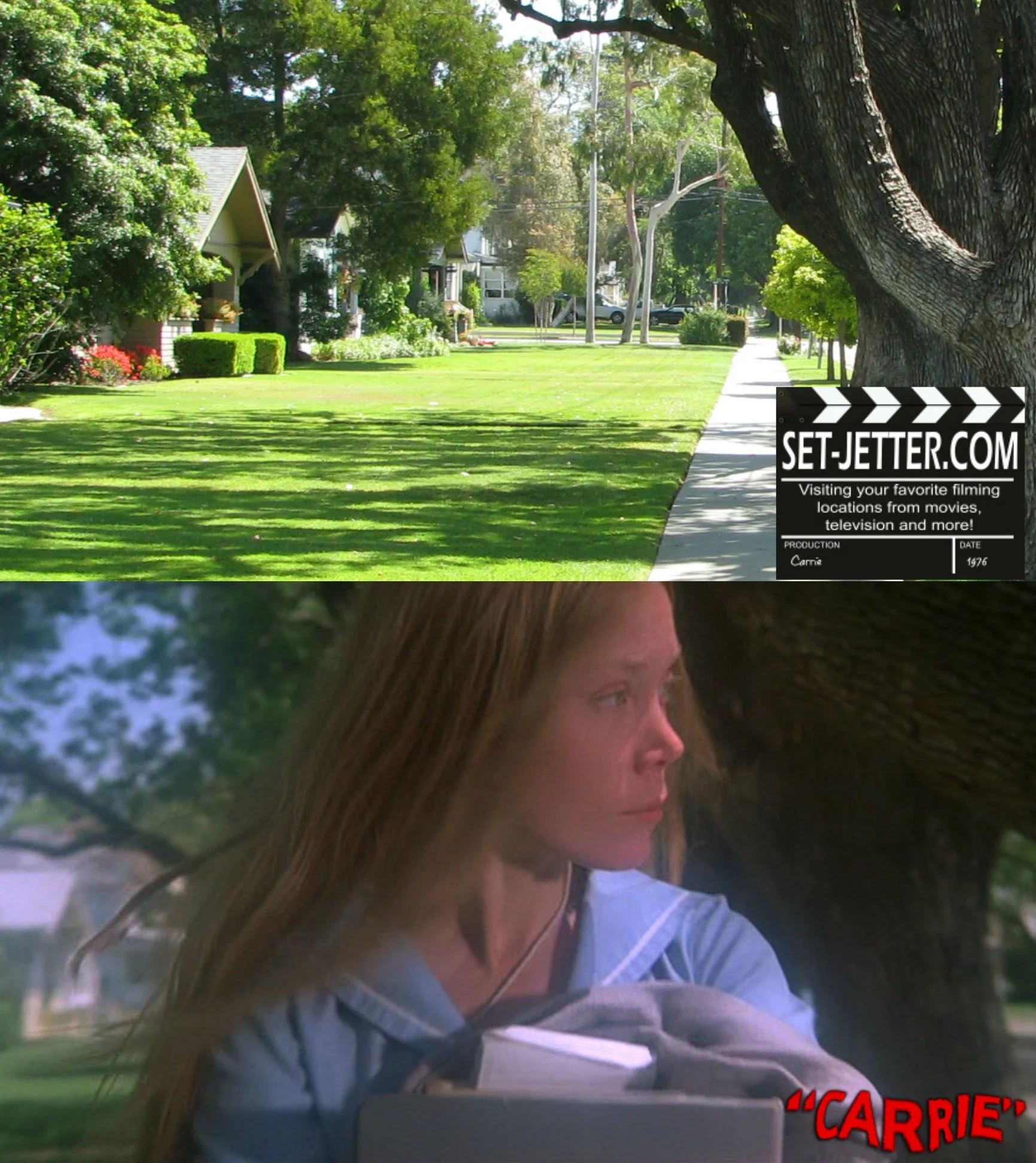 carrie trees 06.jpg