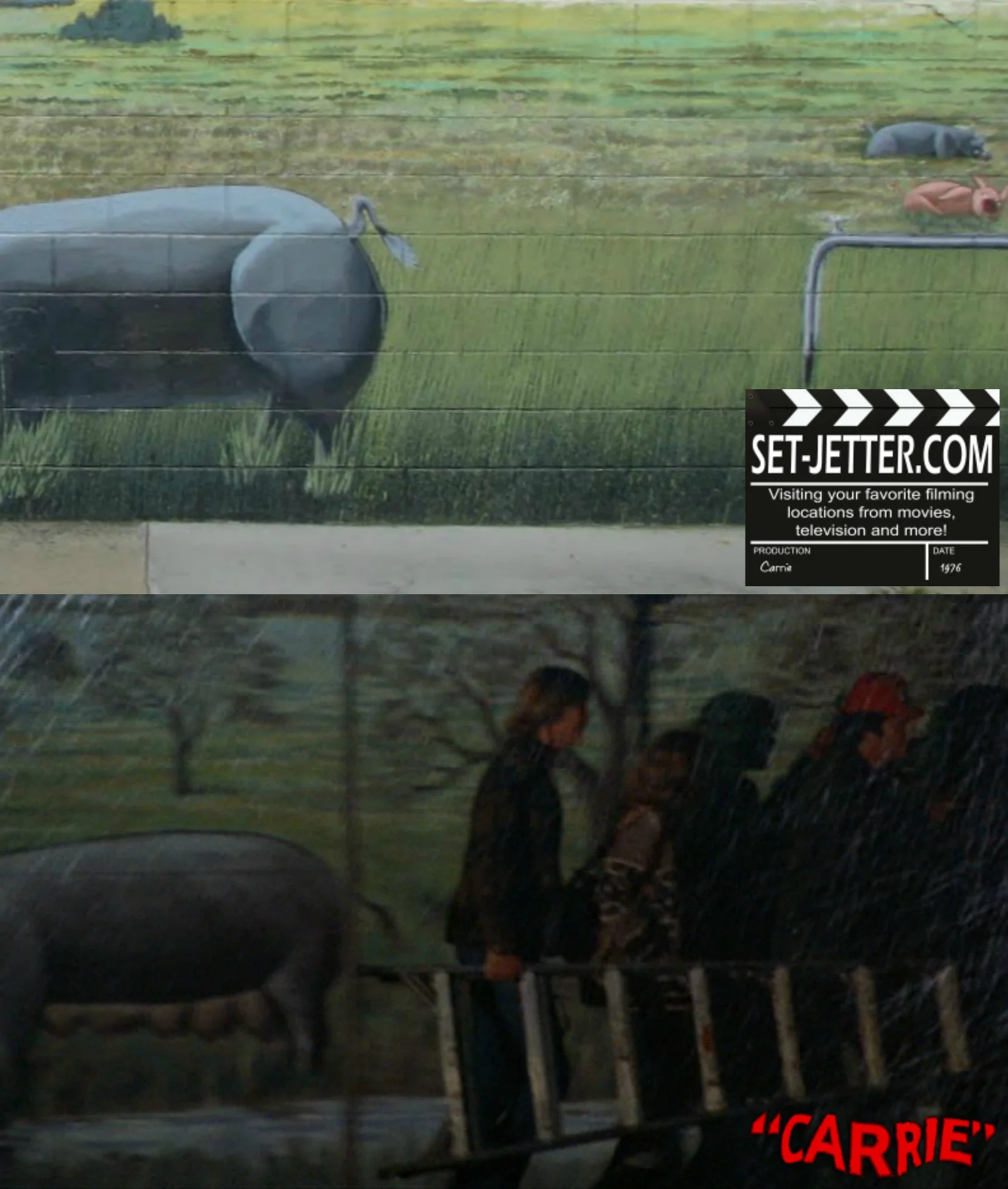 carrie pig 03.jpg