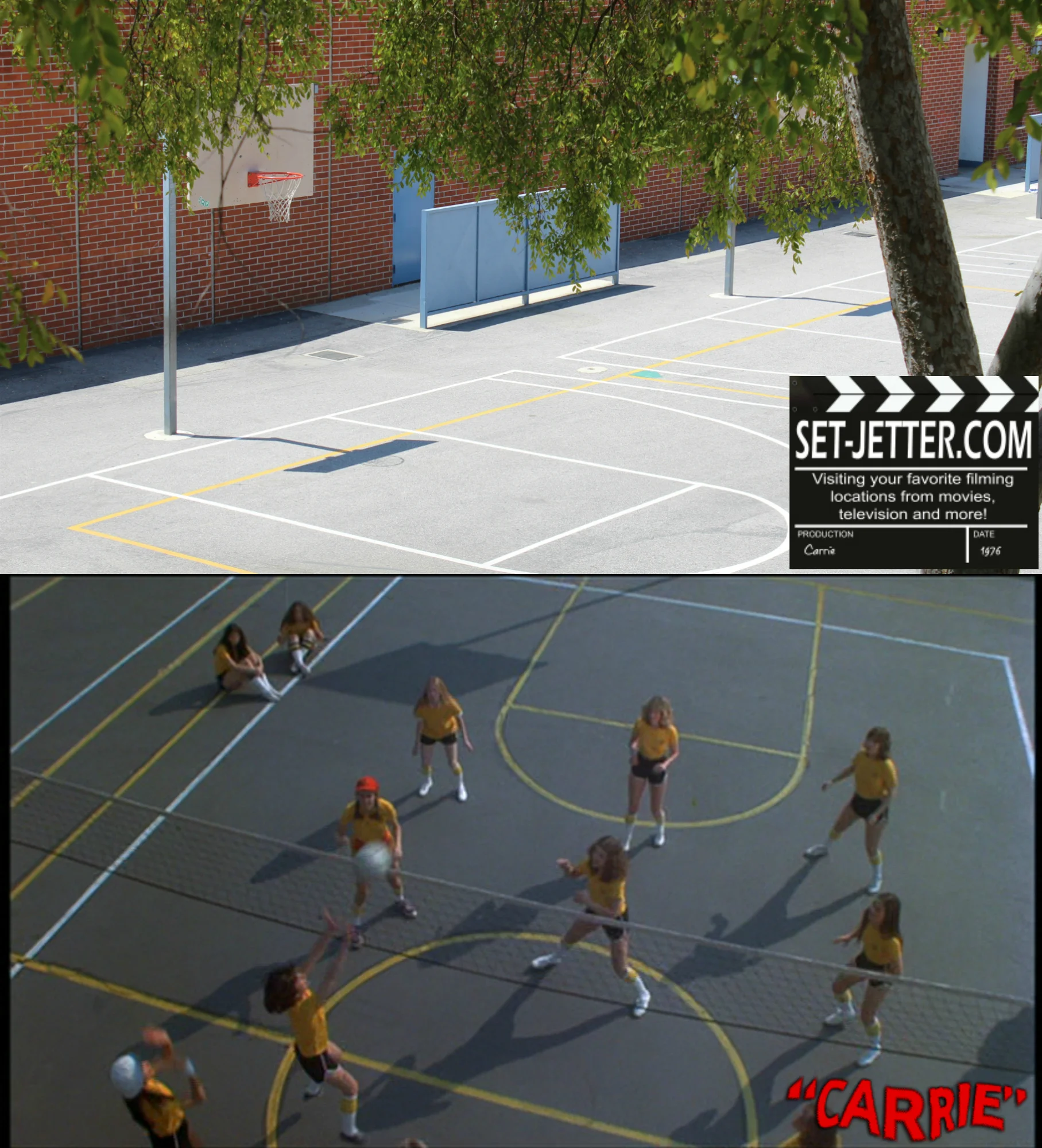 Carrie - volleyball 1.jpg
