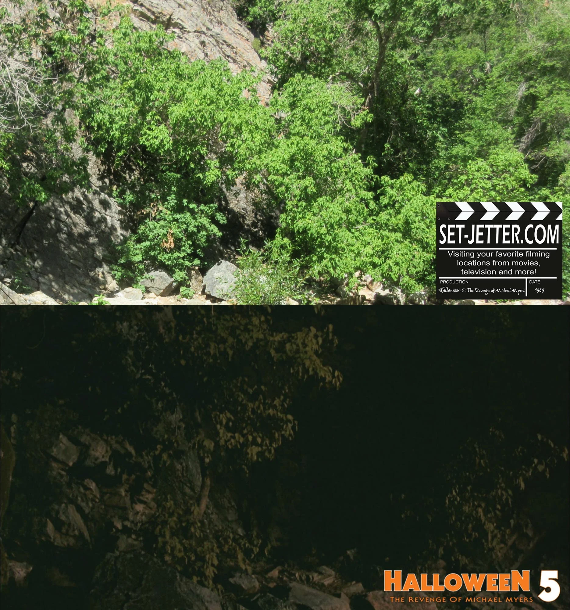 Halloween5-001.jpg