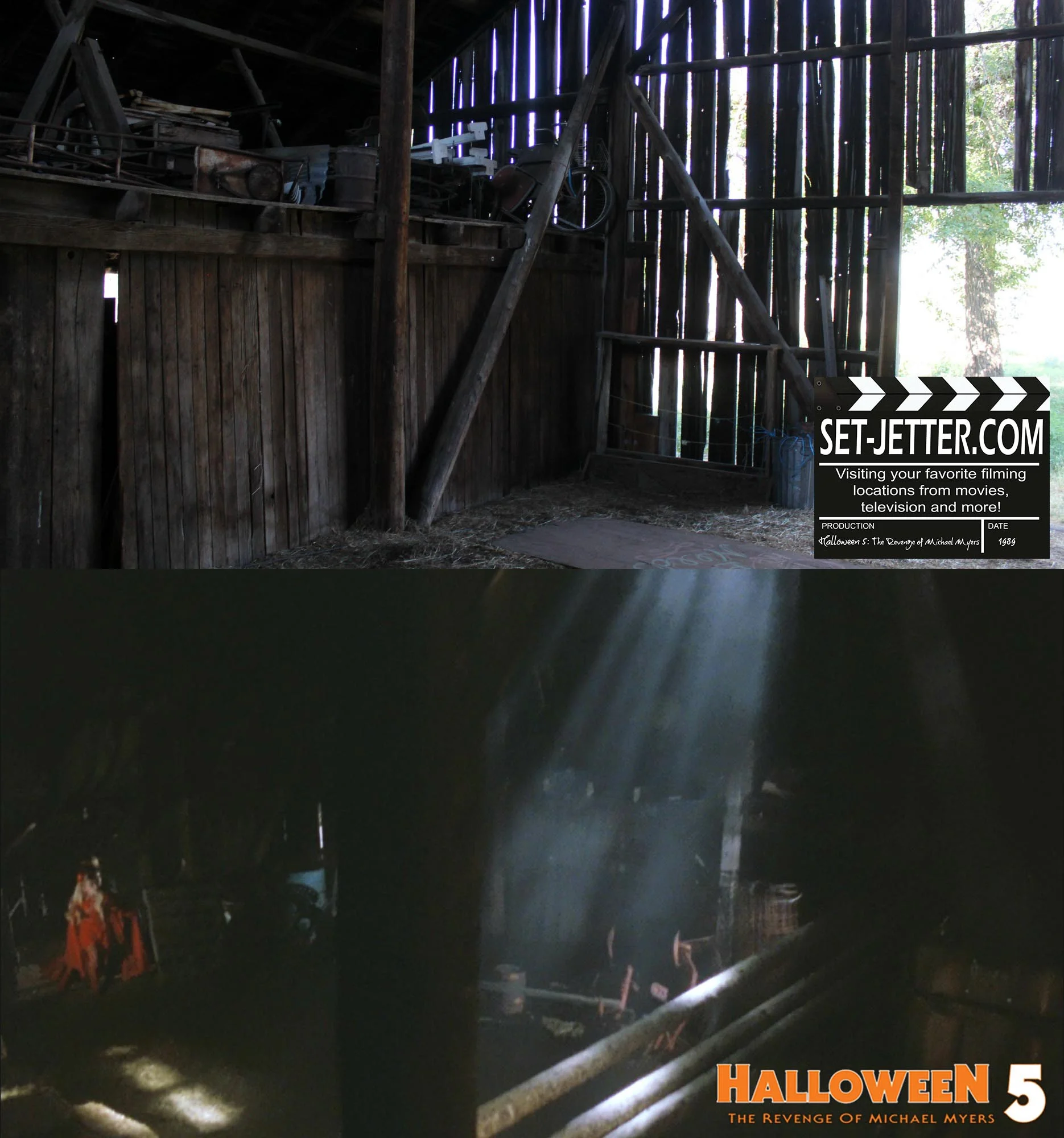 Halloween5-325.jpg