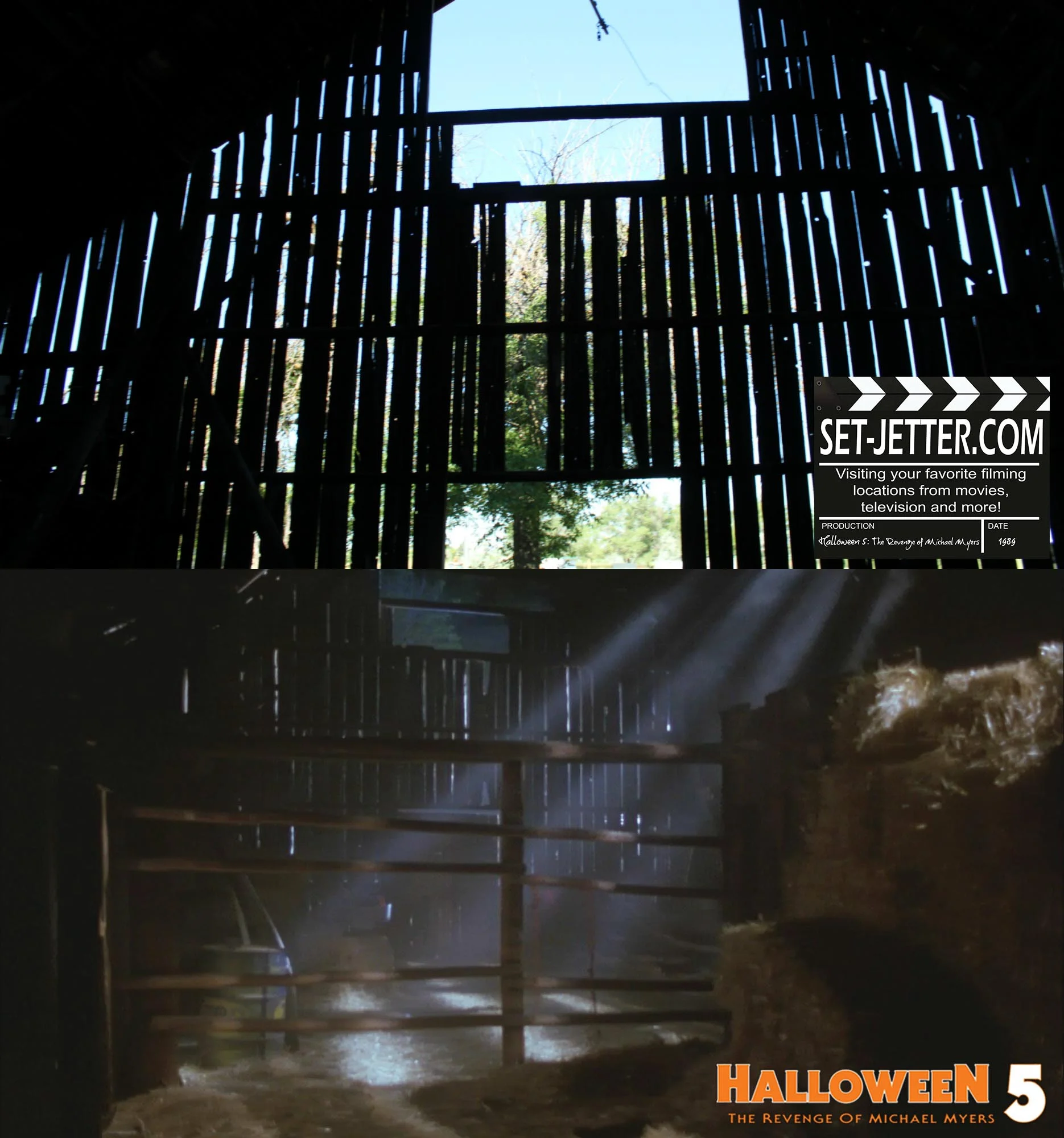 Halloween5-333.jpg