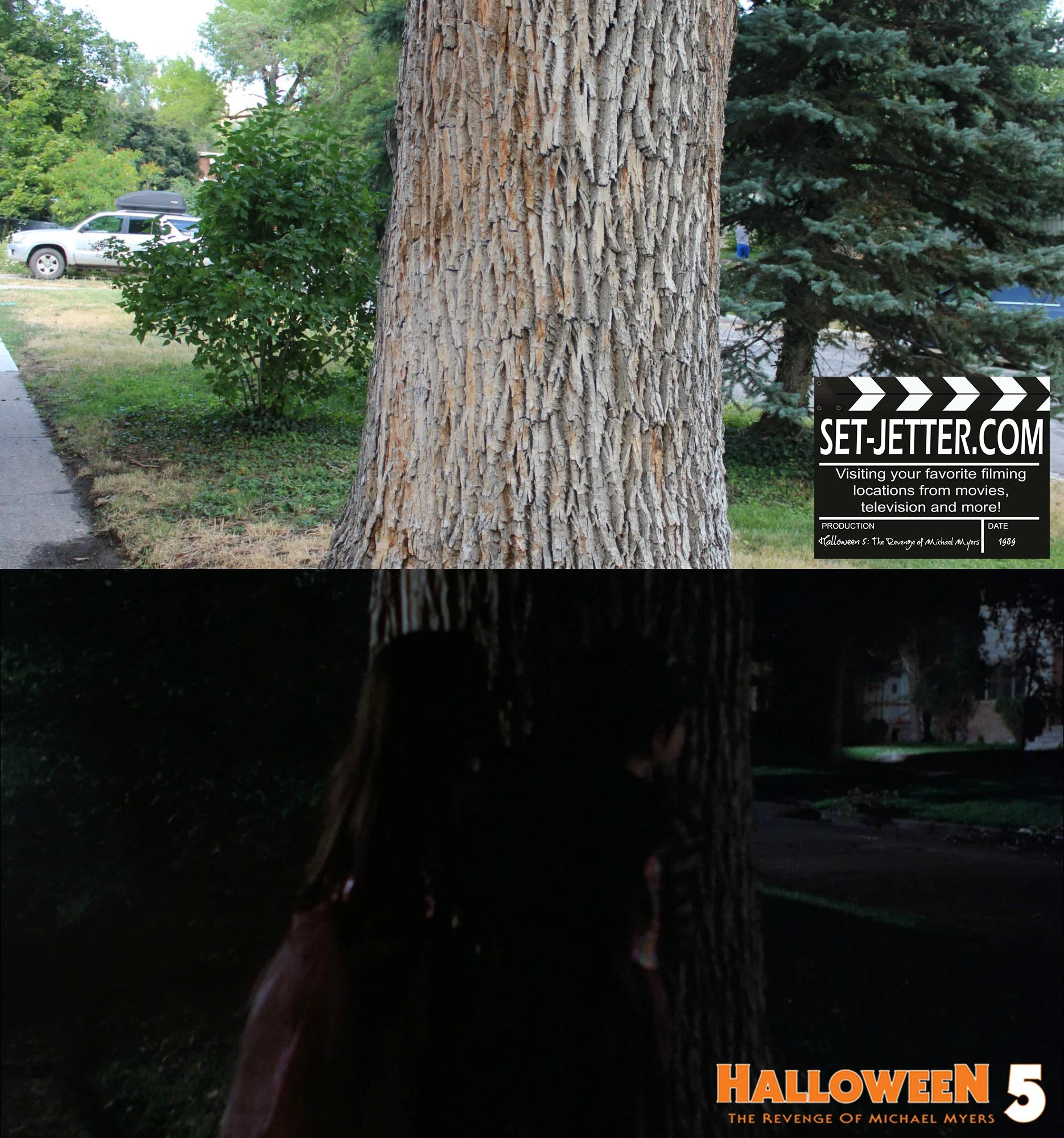 Halloween5-408.jpg