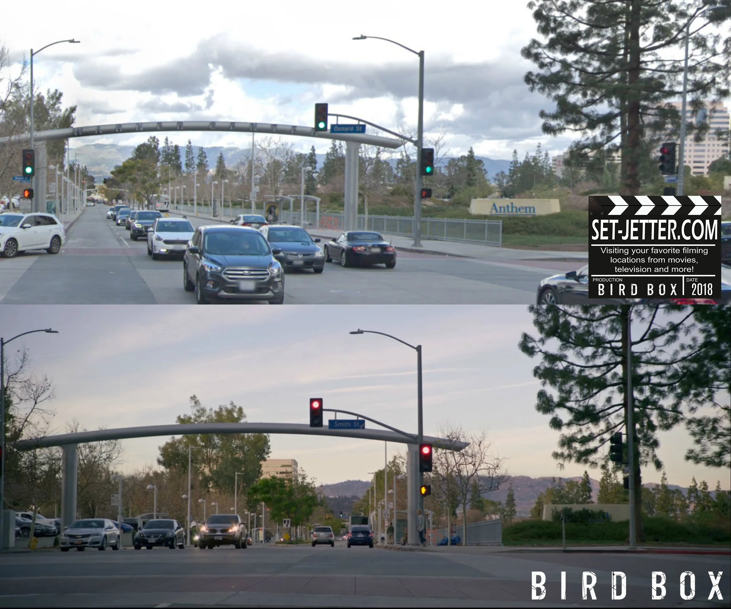 Bird Box Woodland 03.jpg