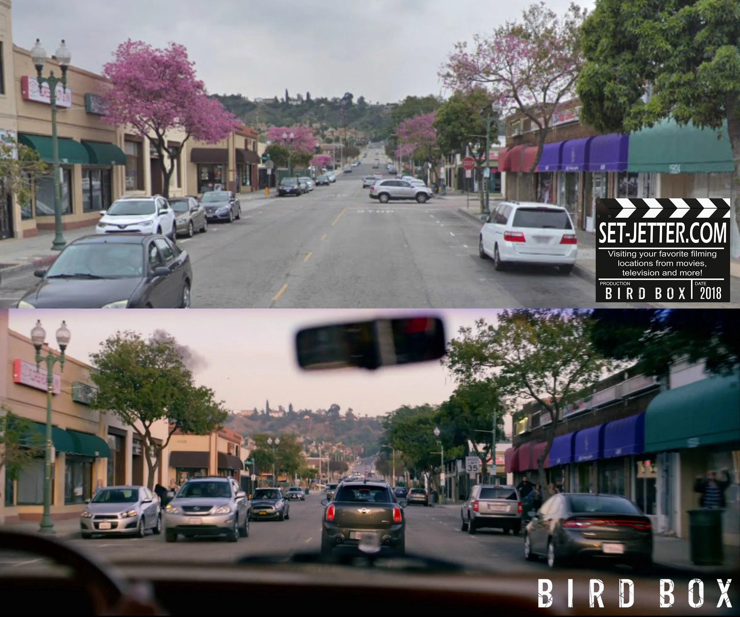 Bird Box La Puente9.jpg