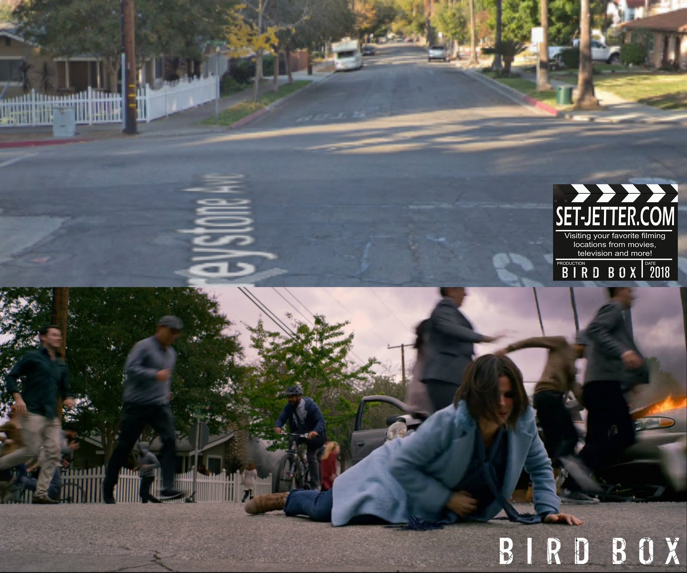 Bird Box Monrovia 04.jpg