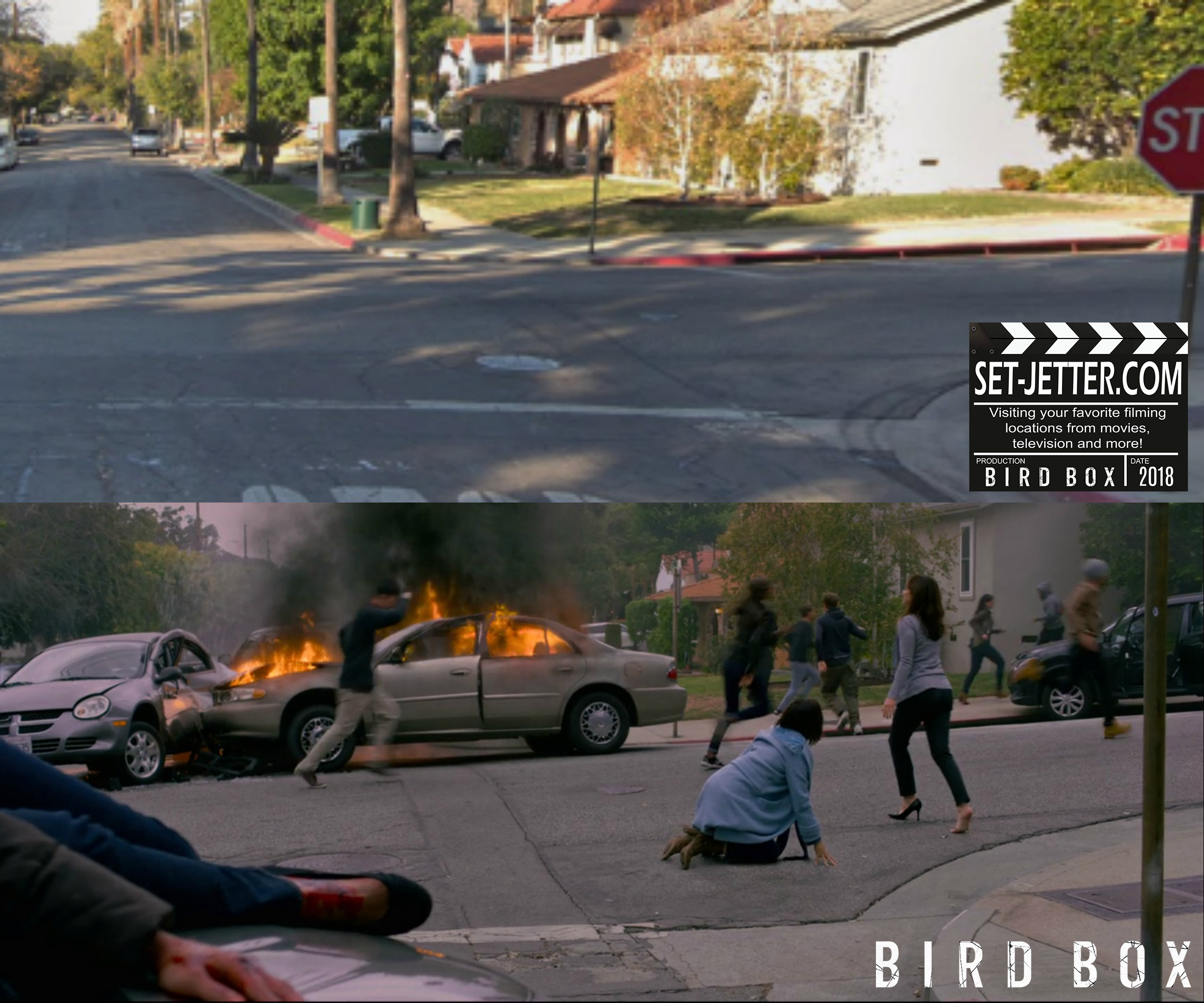 Bird Box Monrovia 10.jpg