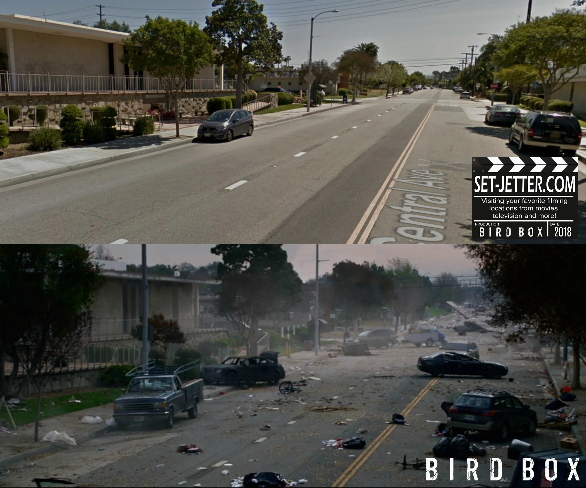 Bird Box La Puente20.jpg