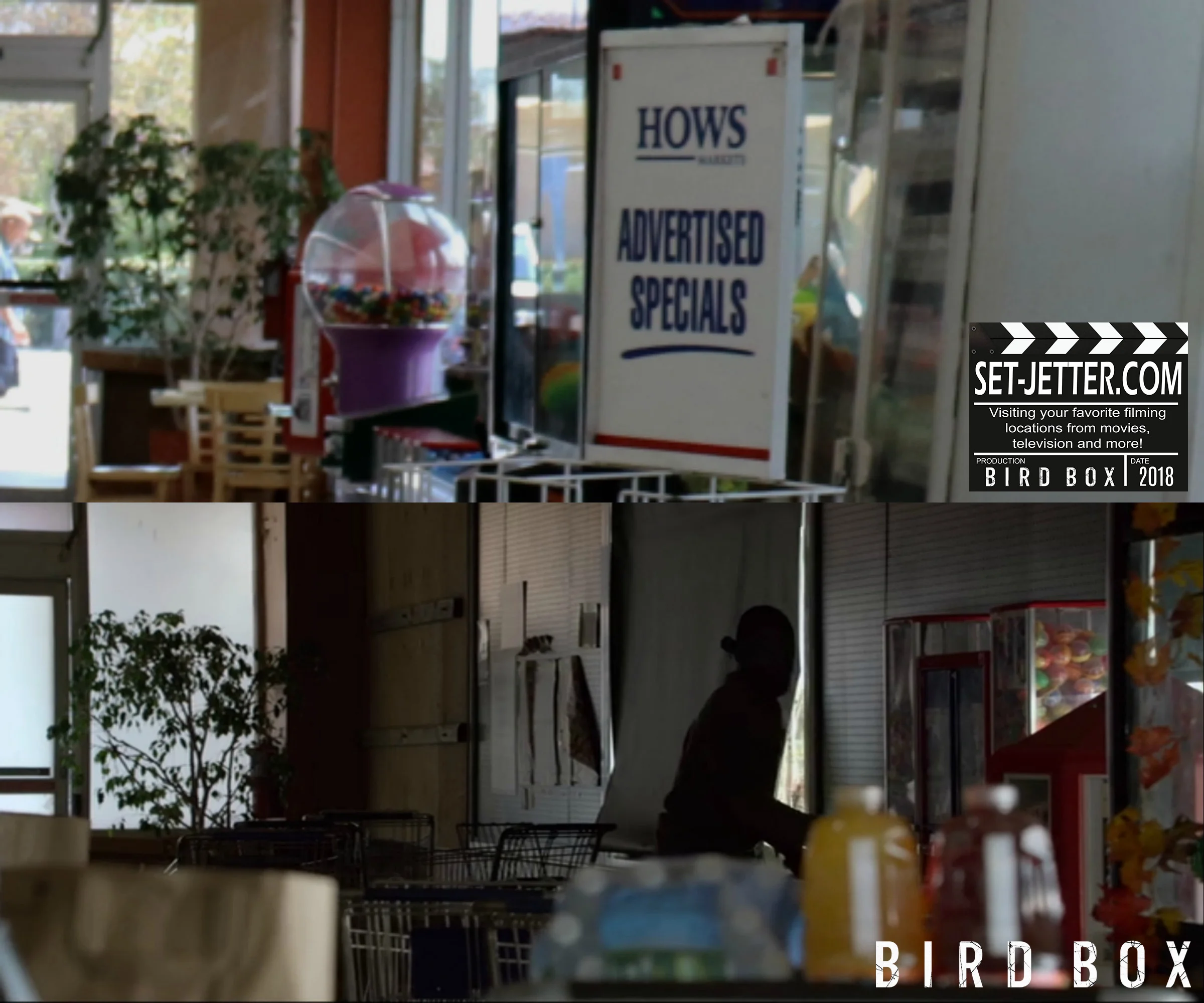 Bird Box Grocer 06.jpg