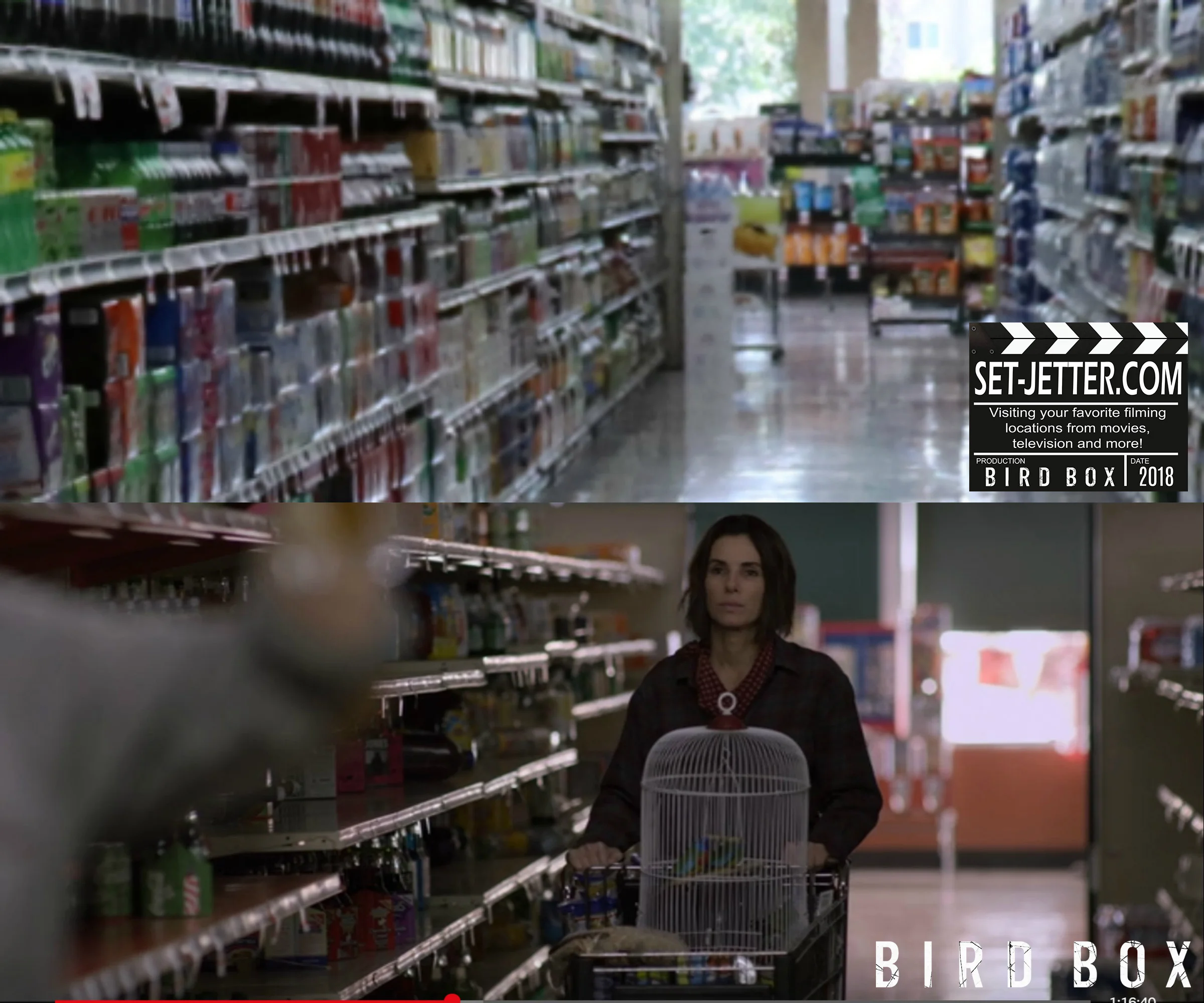 Bird Box Grocer 17.jpg